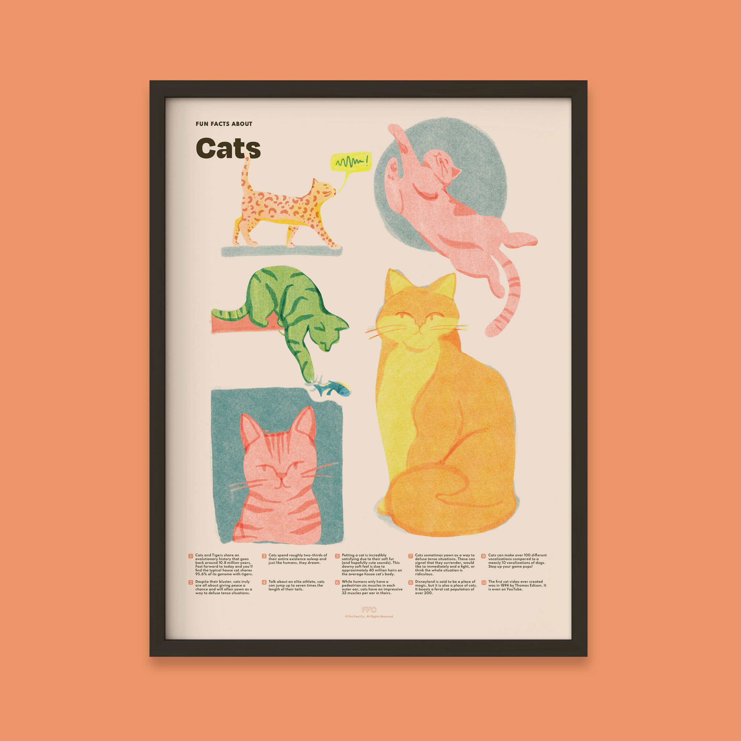 Cat Fun Facts Print, Educational Illustrated Poster by Fun Fact Co - Black Frame