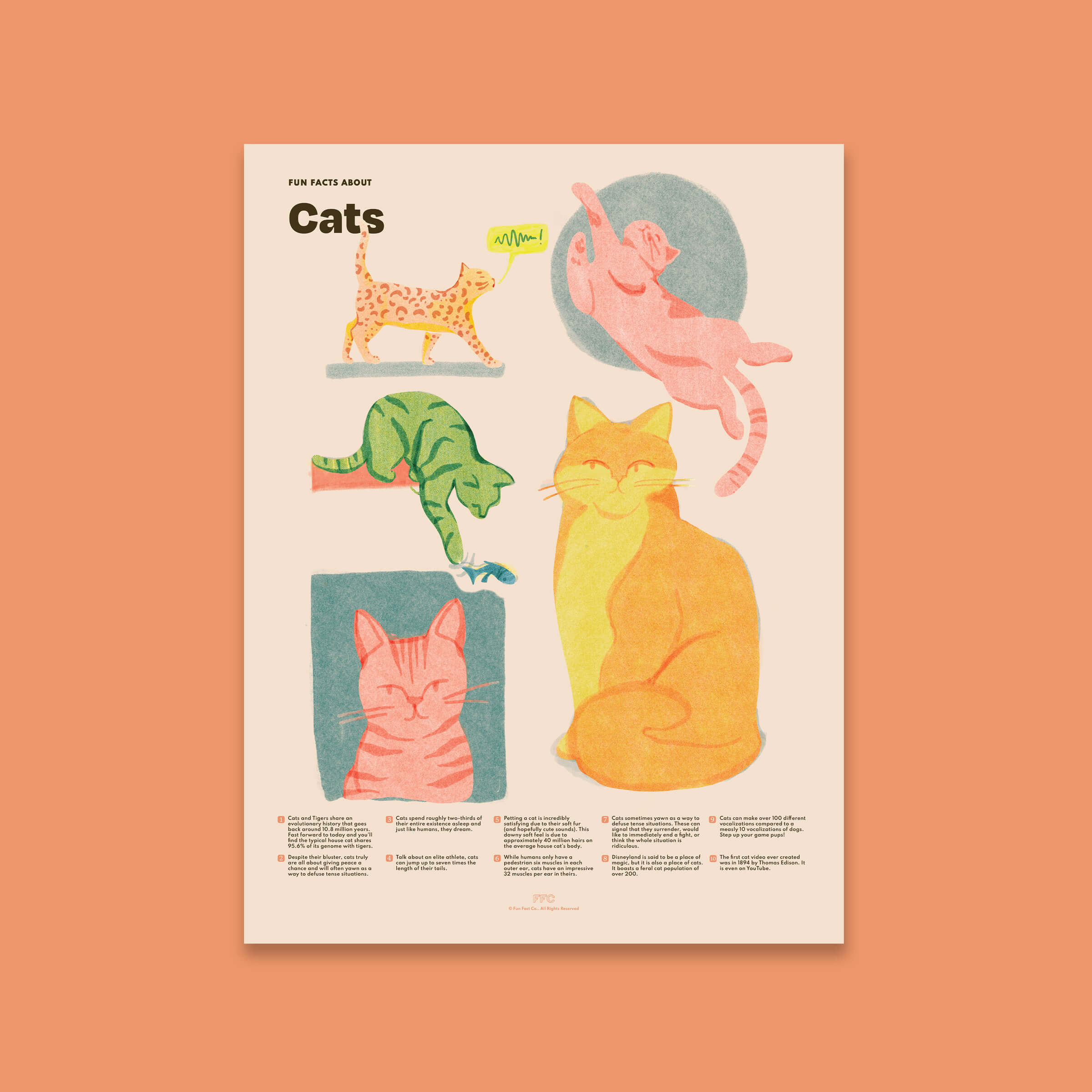 Cat Fun Facts Print, Educational Illustrated Poster by Fun Fact Co - Unframed