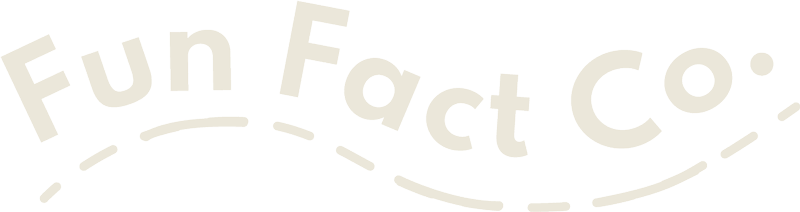 Fun Fact Co. - Smart Games, Cards and More