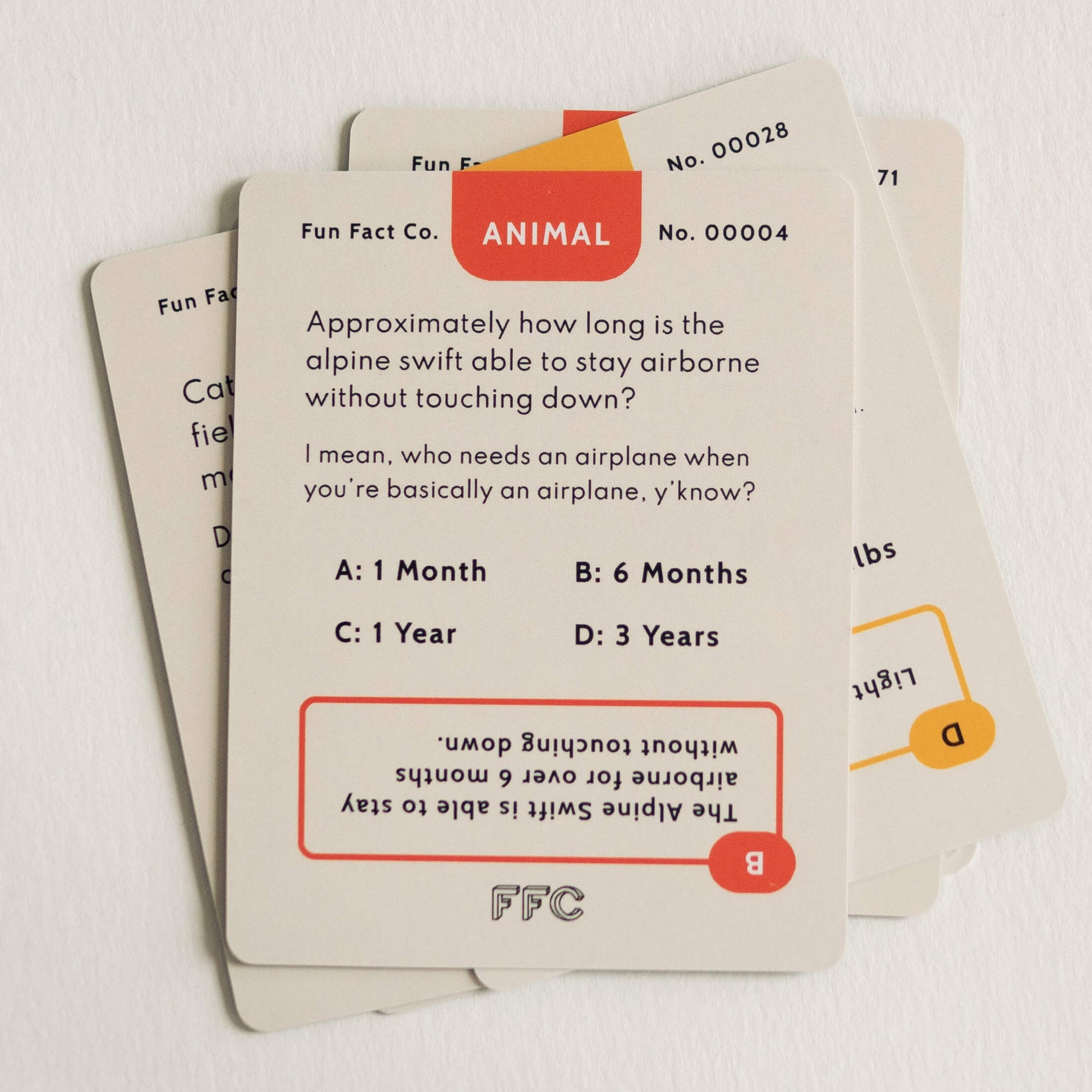 Fun Fact Trivia Cards Close Up Look
