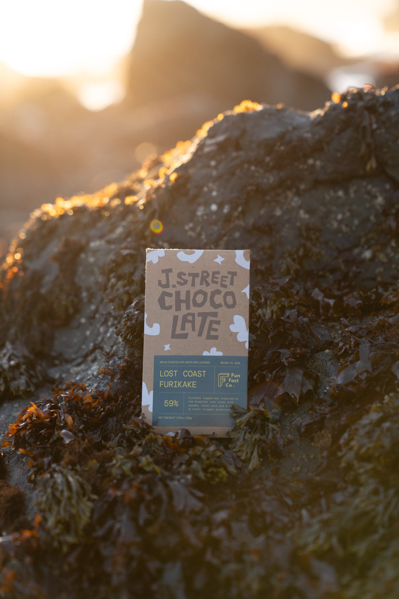 Lost Coast Furikake Chocolate Bar & Tasting Wheel Bundle