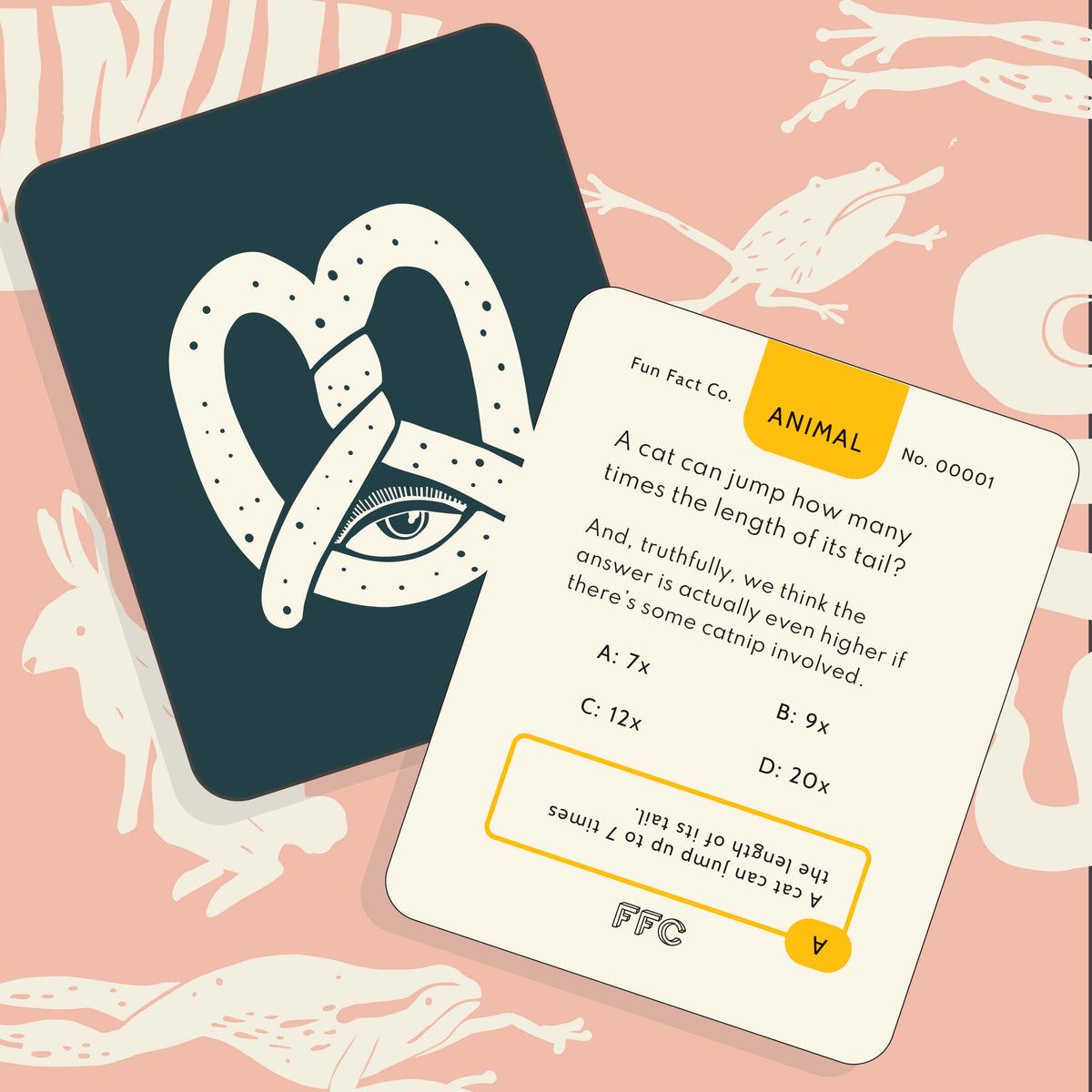 Factoid Cards The Party Mix: A Fun Fact Trivia Card Game | Fun Fact Co.