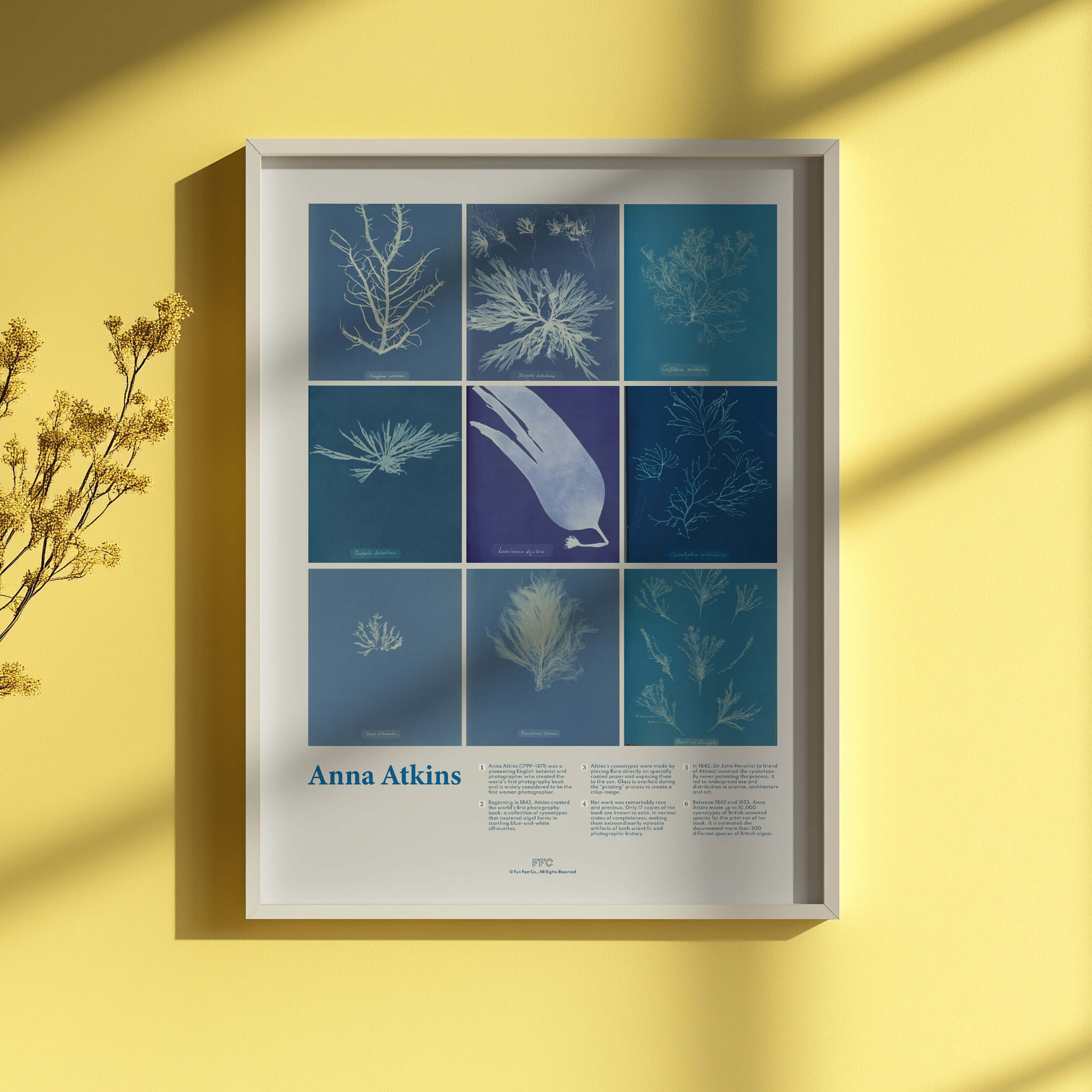 Framed artwork with blue and white patterns on a yellow wall