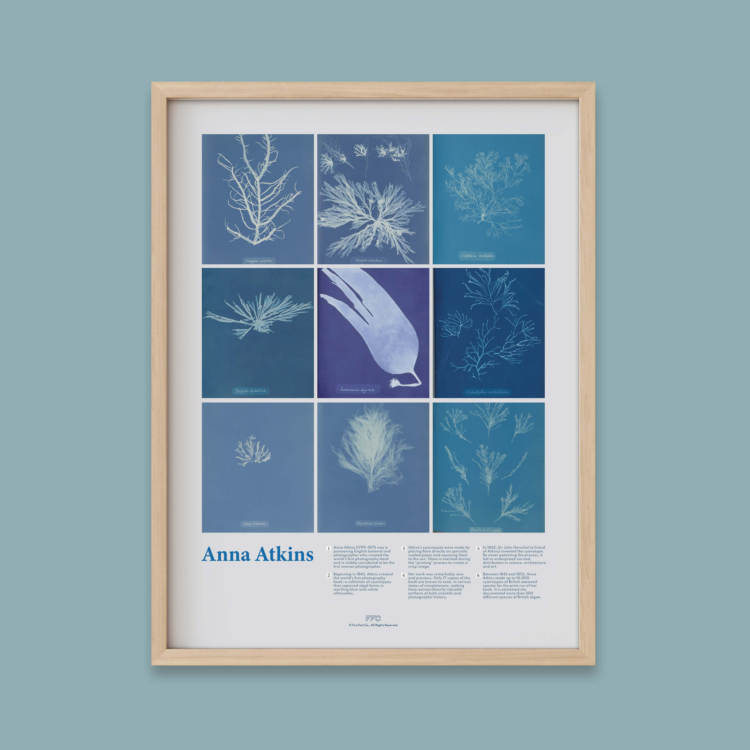 Framed artwork with blue and white patterns on a light blue wall