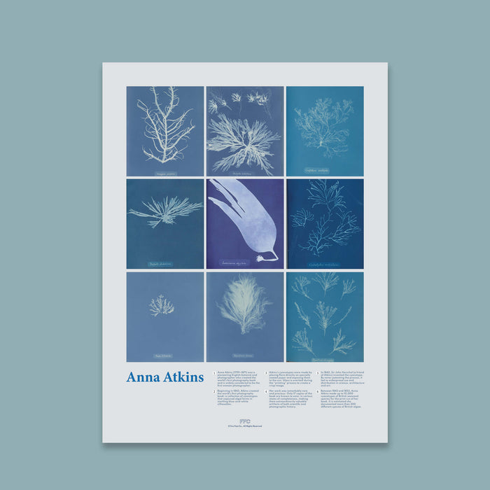 Poster with botanical illustrations by Anna Atkins on a blue background
