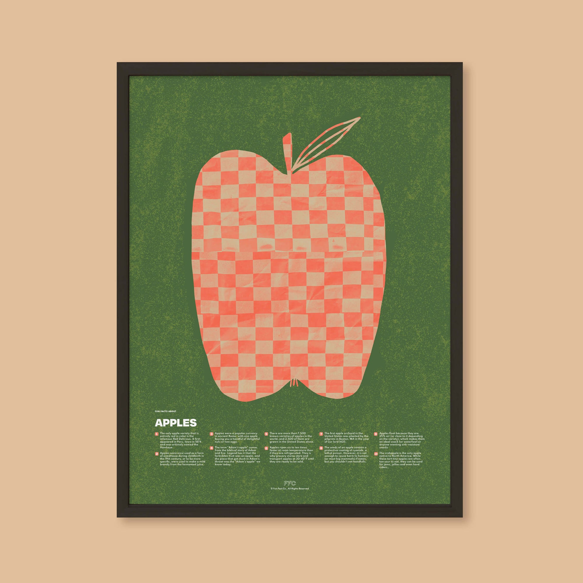 Apple Fun Facts Print - Black Frame - Educational Poster by Fun Fact Co.