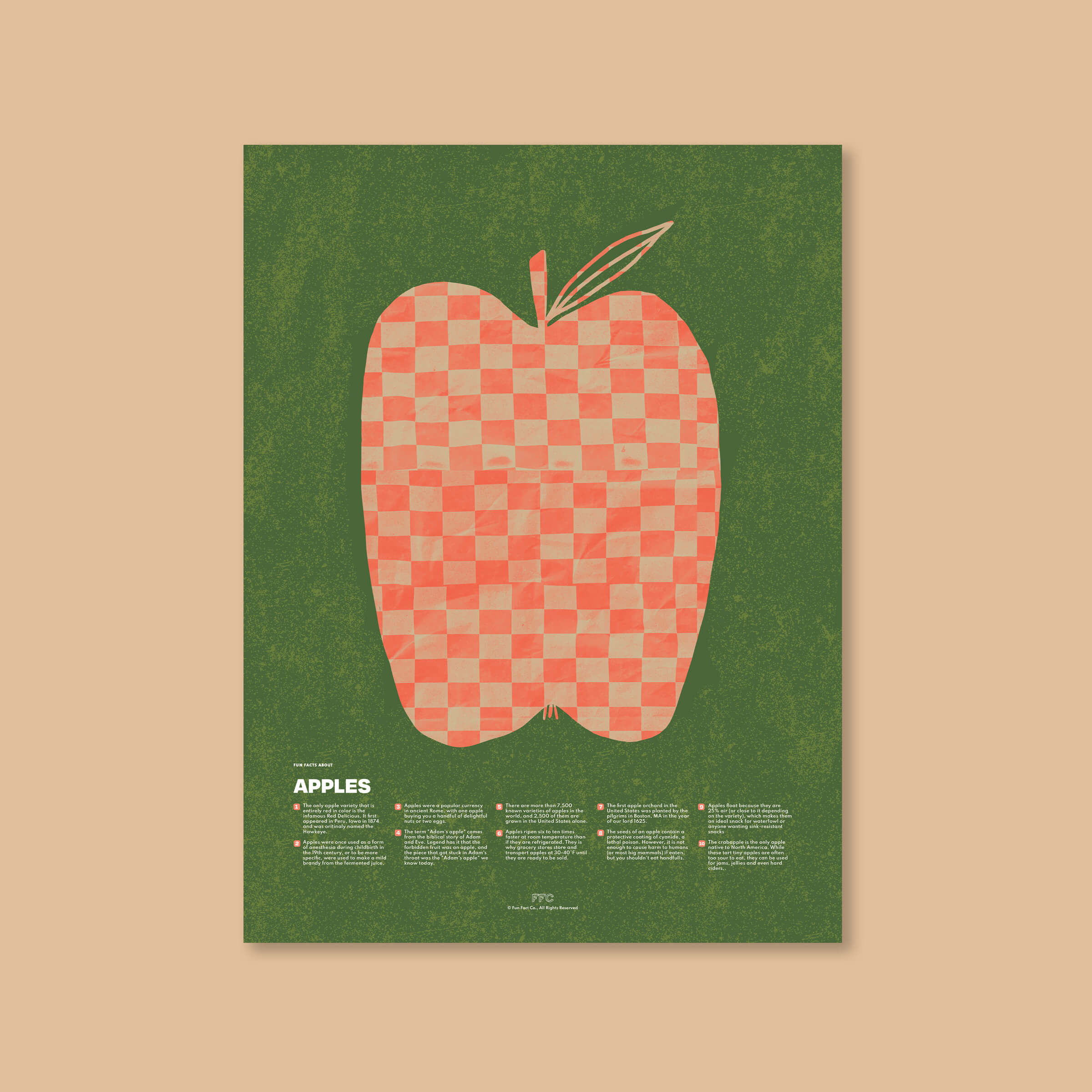 Apple Fun Facts Print - Unframed - Educational Poster by Fun Fact Co.