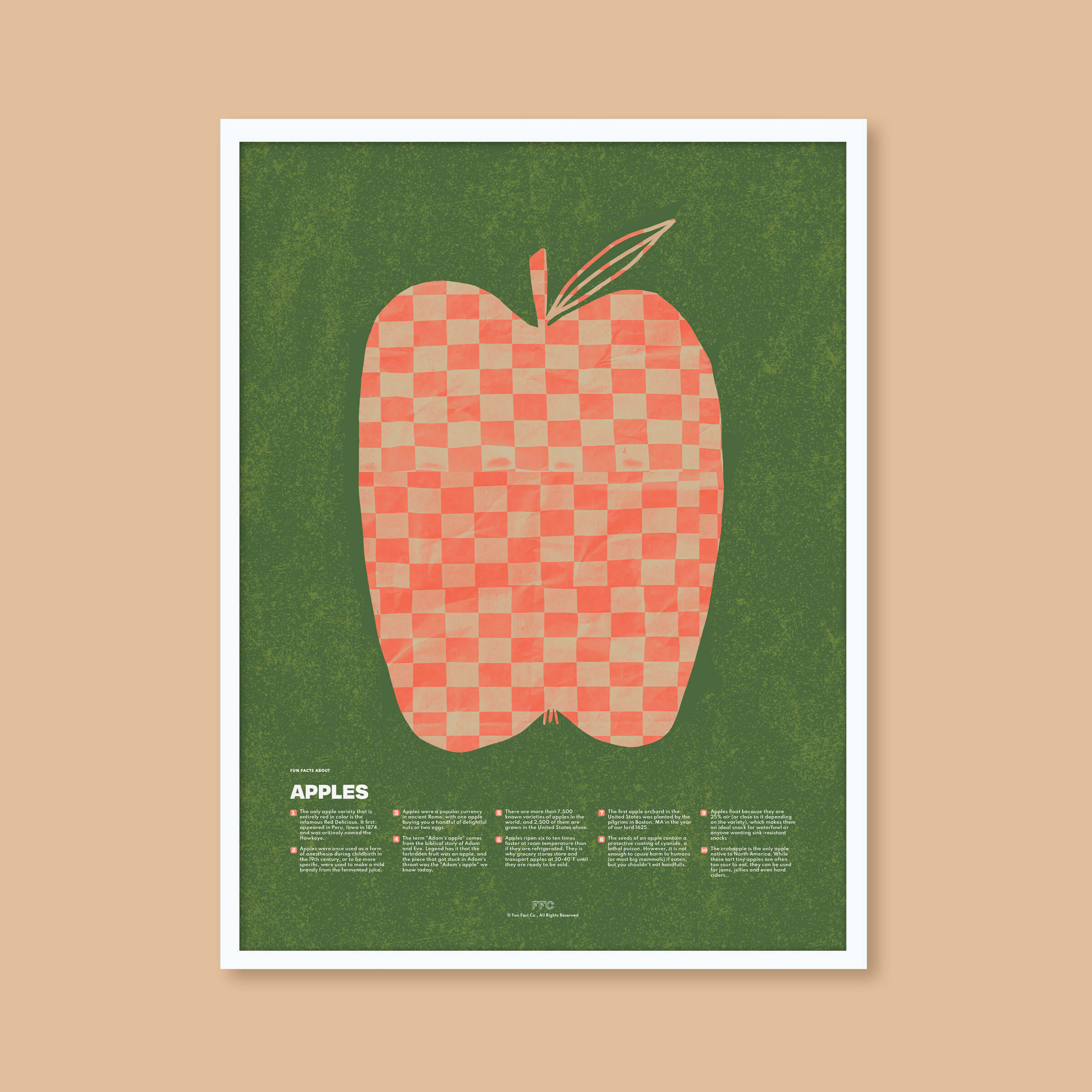Apple Fun Facts Print - White Frame - Educational Poster by Fun Fact Co.