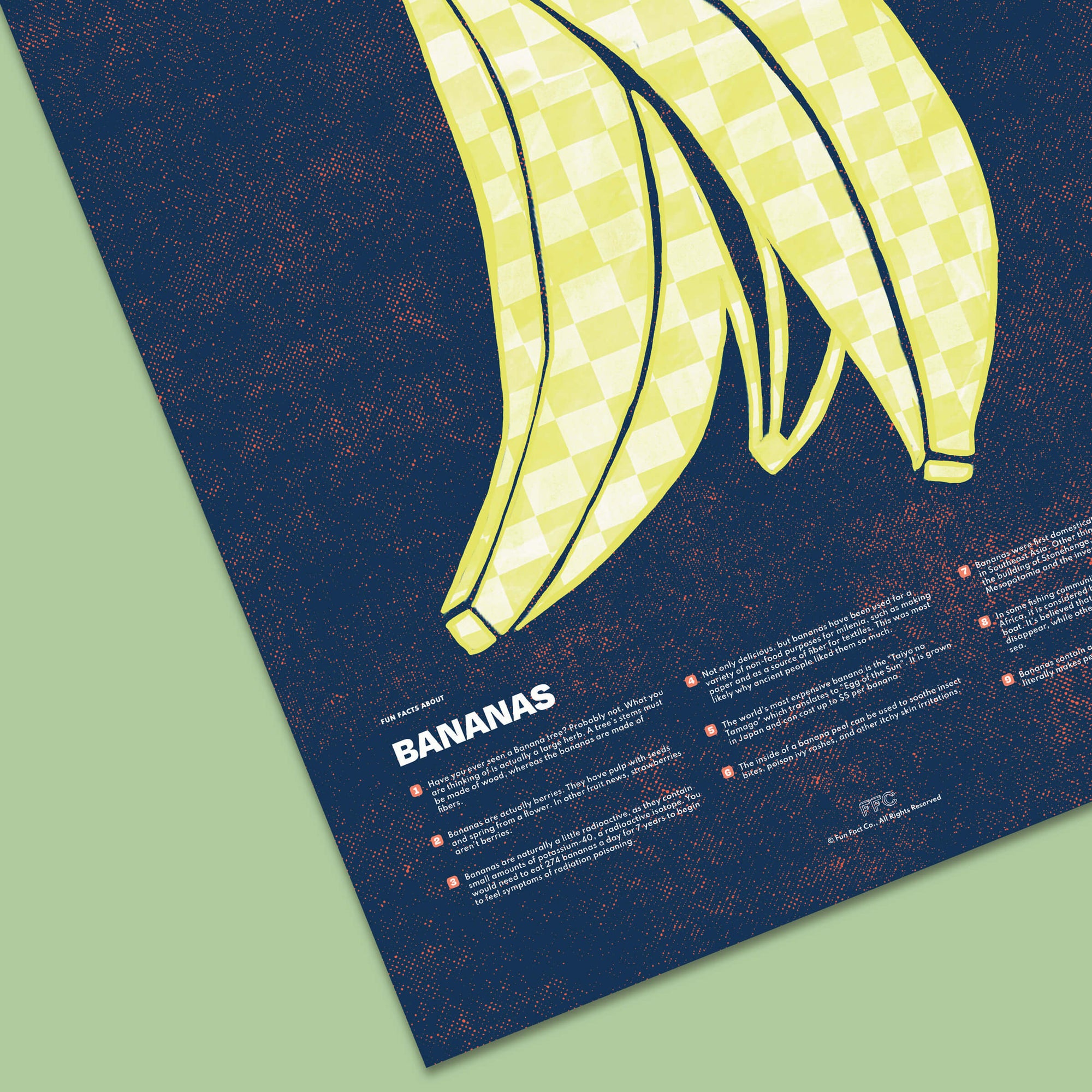 modern illustration banana facts poster by fun fact co. - close up view