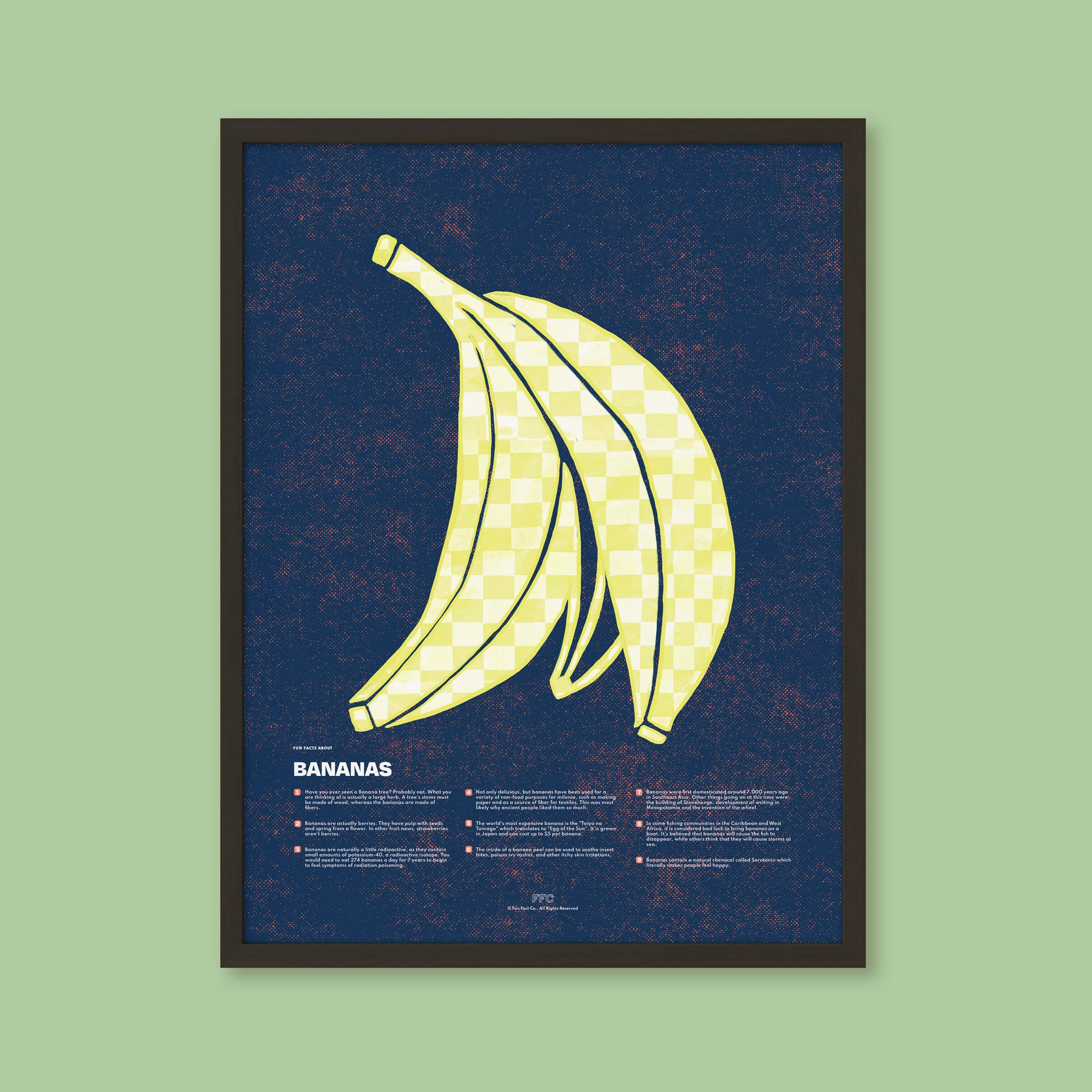 modern illustration banana facts poster by fun fact co. - black frame