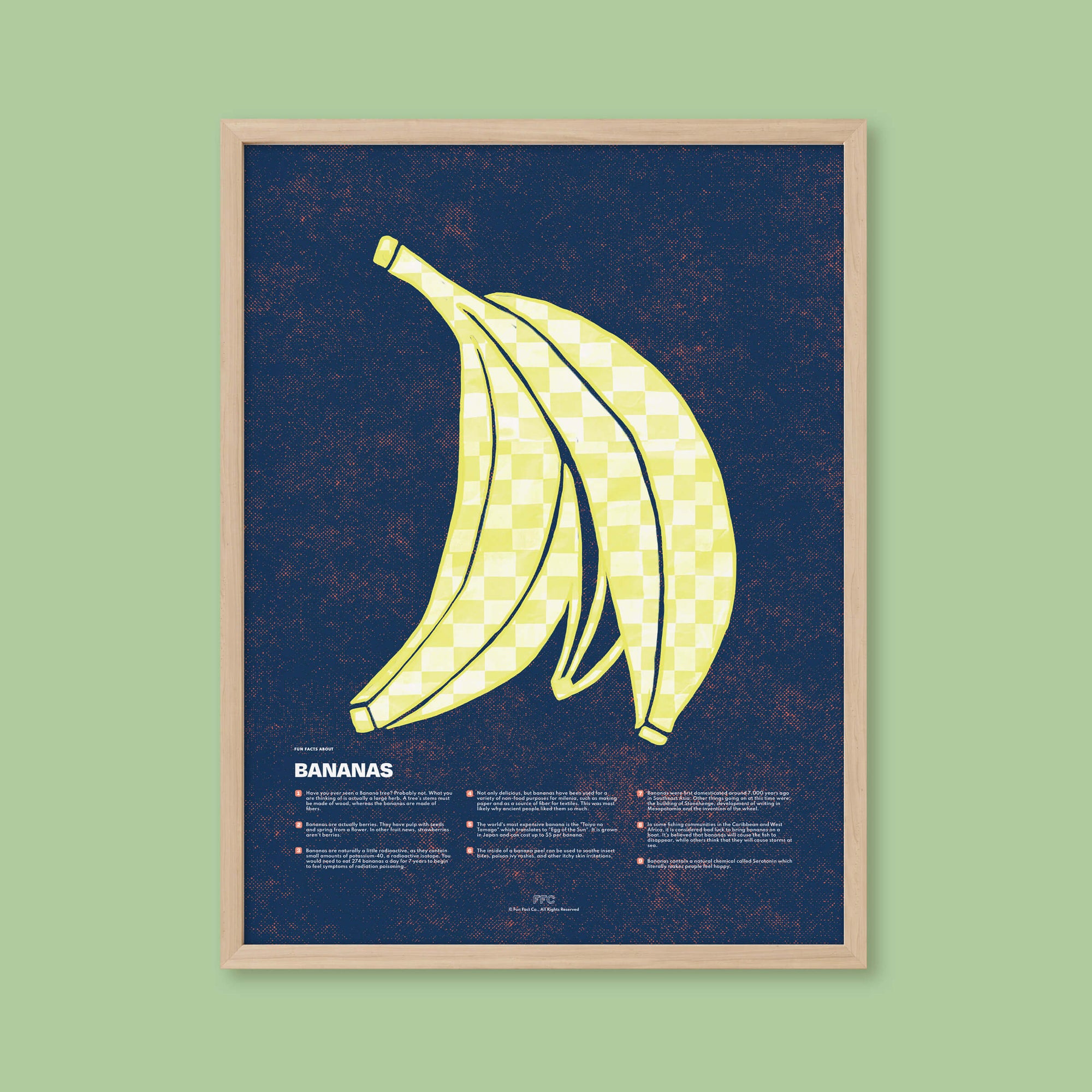 modern illustration banana facts poster by fun fact co. - natural frame