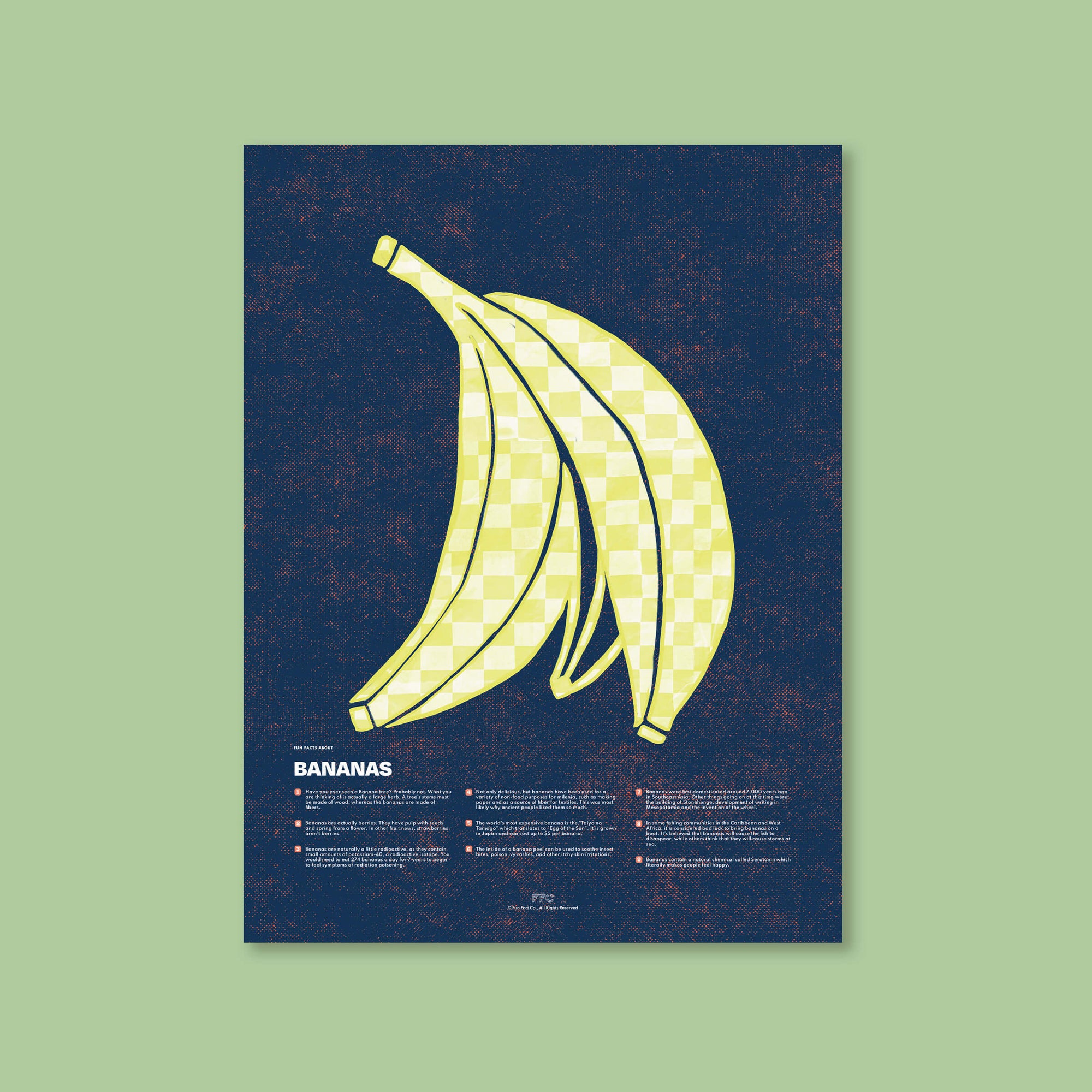 modern illustration banana facts poster by fun fact co.