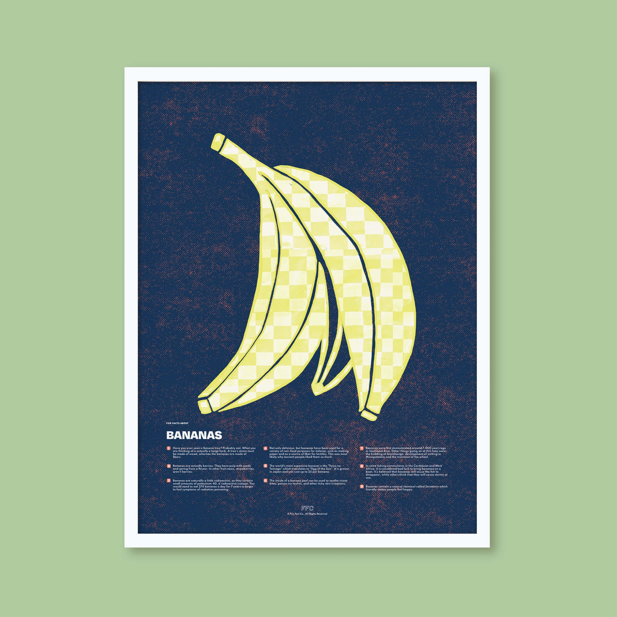modern illustration banana facts poster by fun fact co. - white frame