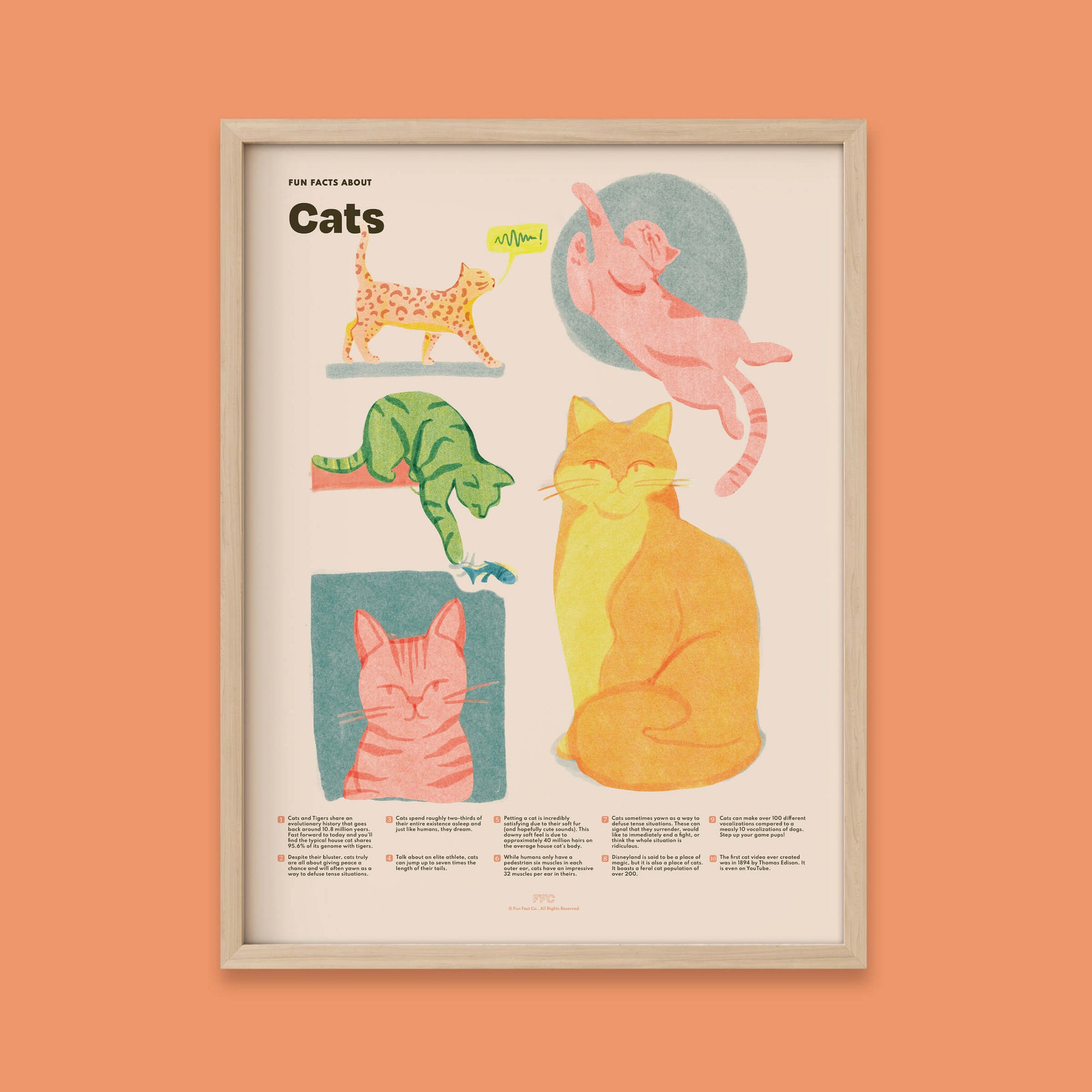 Cat Fun Facts Print, Educational Illustrated Poster by Fun Fact Co - Natural Frame