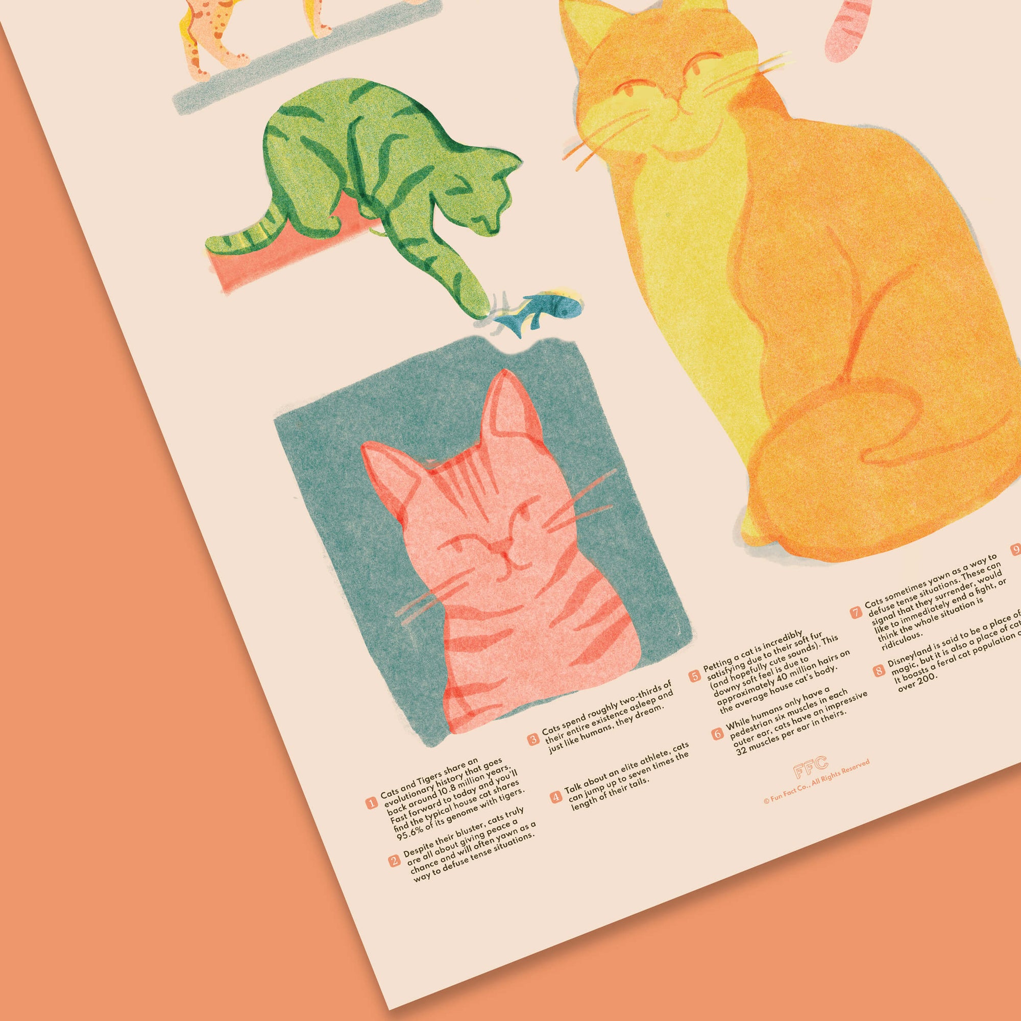 Cat Fun Facts Print, Educational Illustrated Poster by Fun Fact Co - Feline Close Up