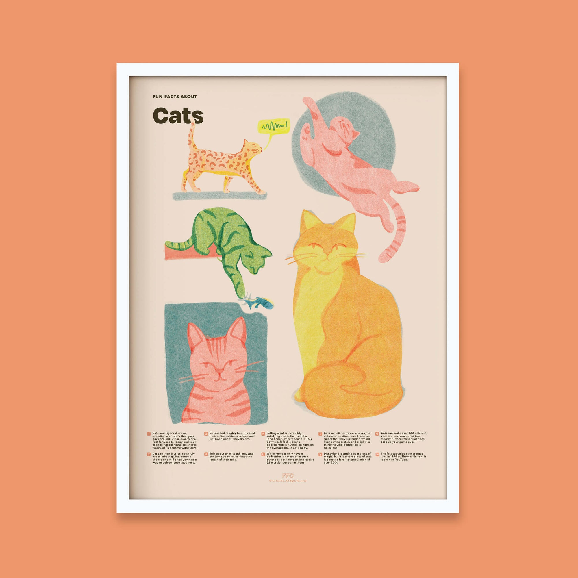 Cat Fun Facts Print, Educational Illustrated Poster by Fun Fact Co - White Frame