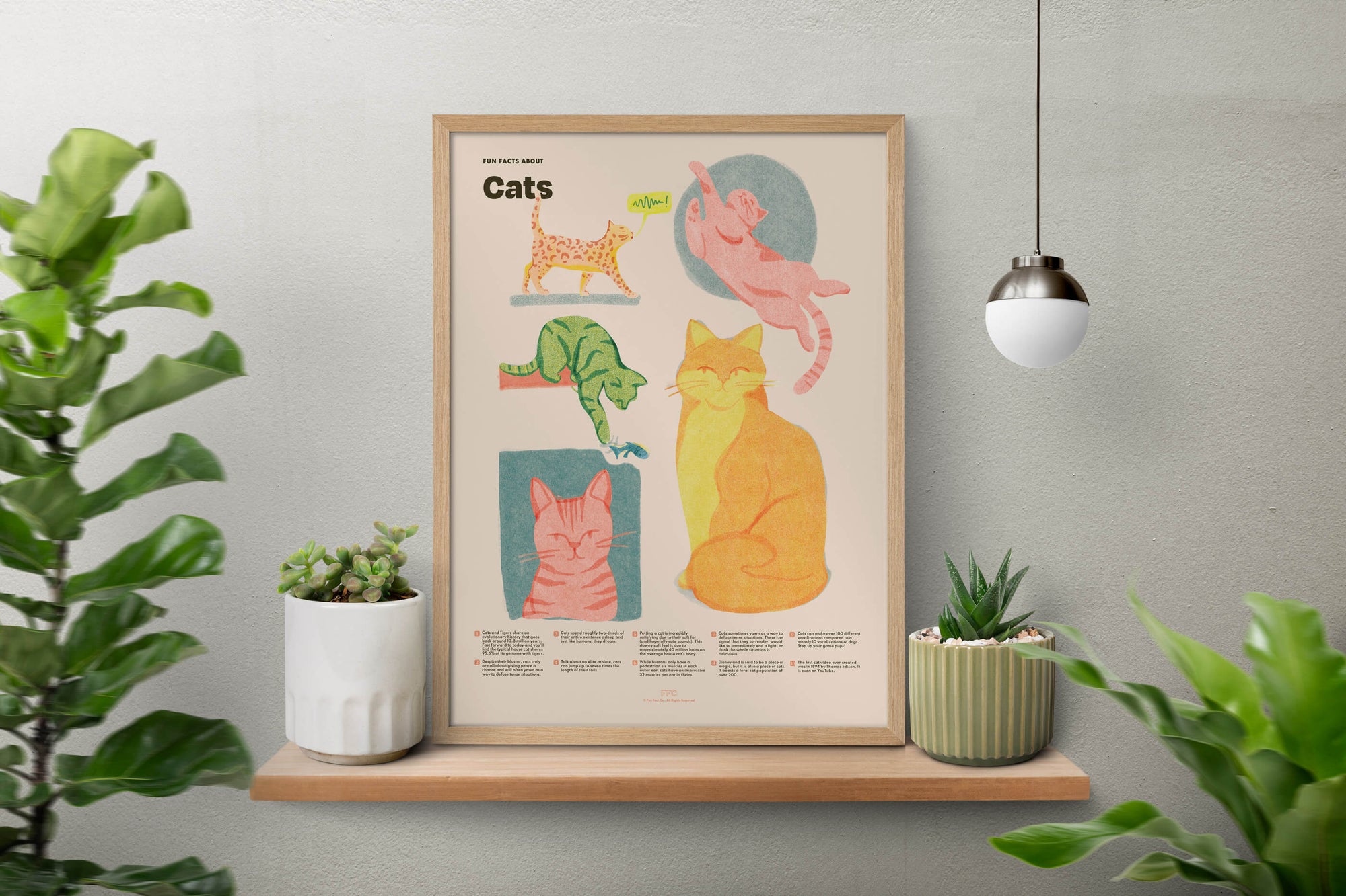fun facts about cats in a frame in kitchen