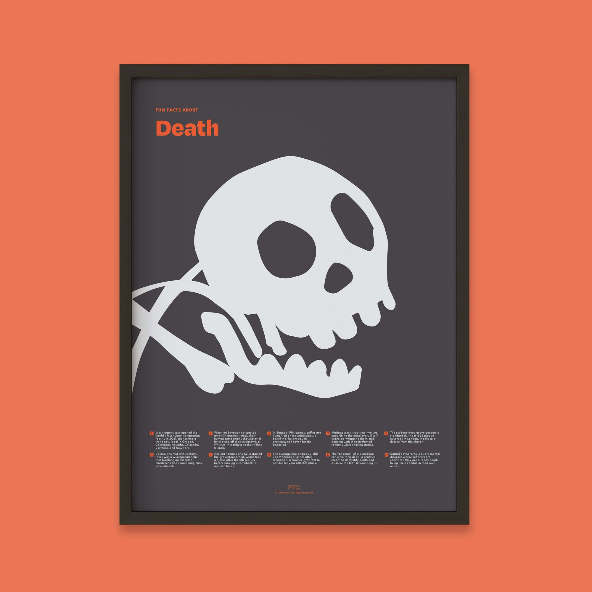 Fun Facts About Death Poster - Black Frame