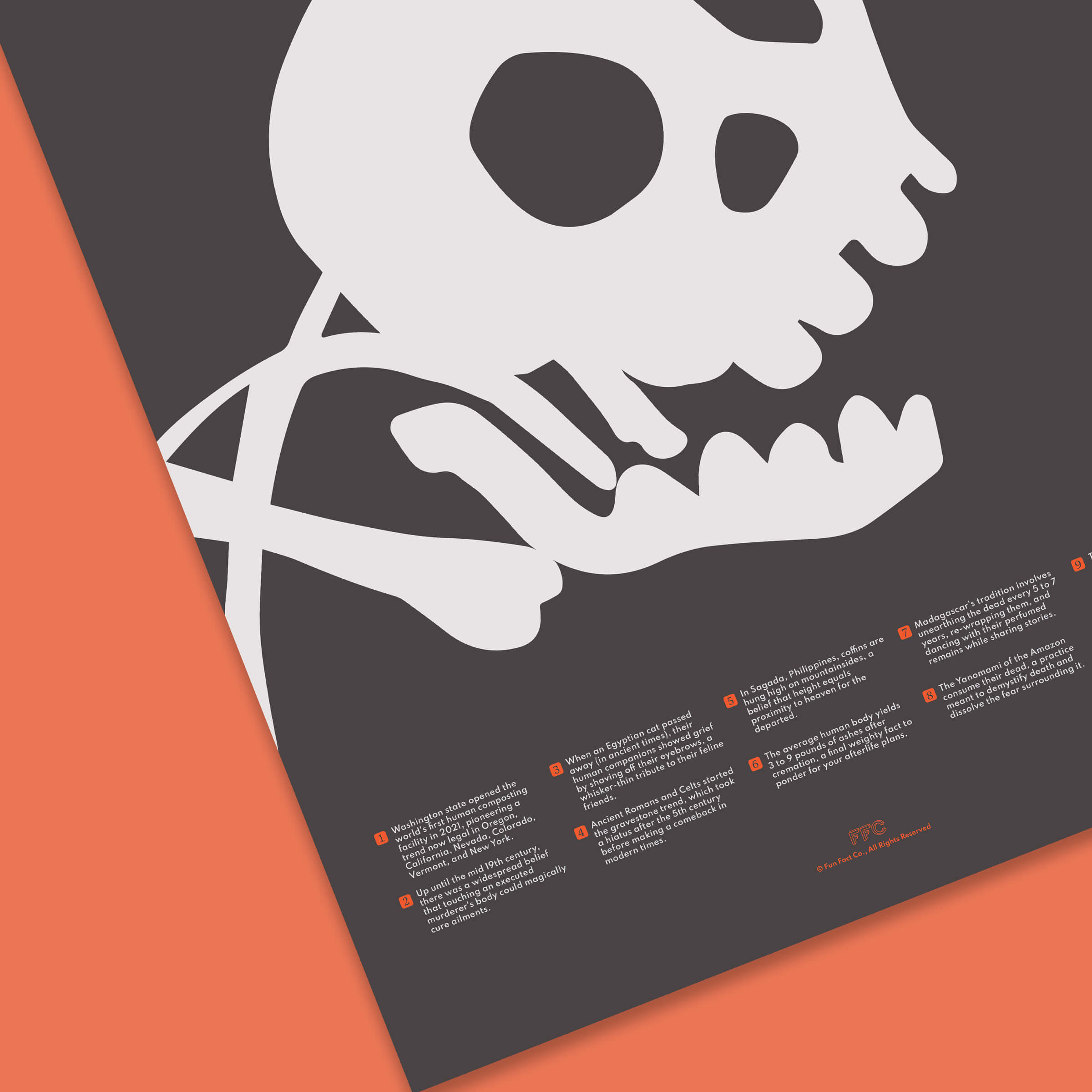 Fun Facts About Death Poster - Close Up