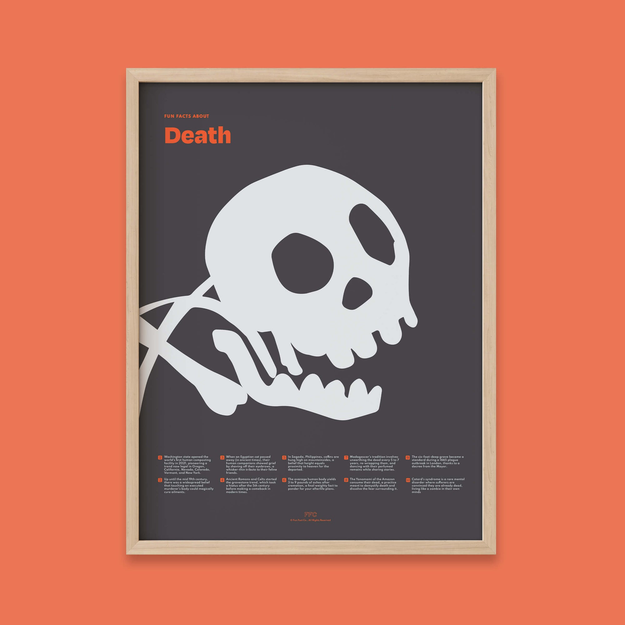 Fun Facts About Death Poster - Natural Frame