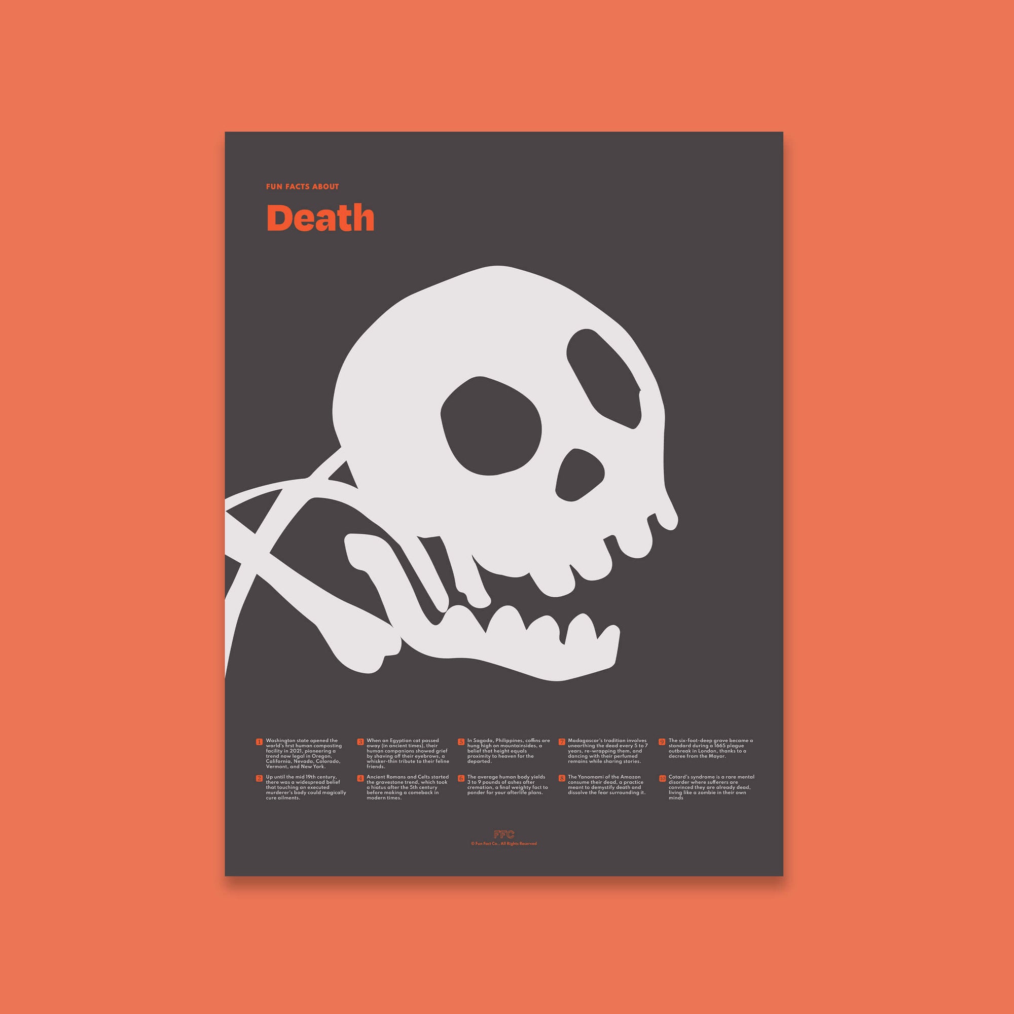Fun Facts About Death Poster - Unframed