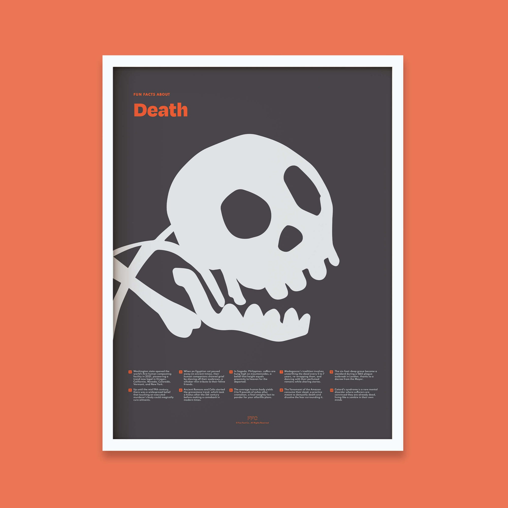 Fun Facts About Death Poster - White Frame