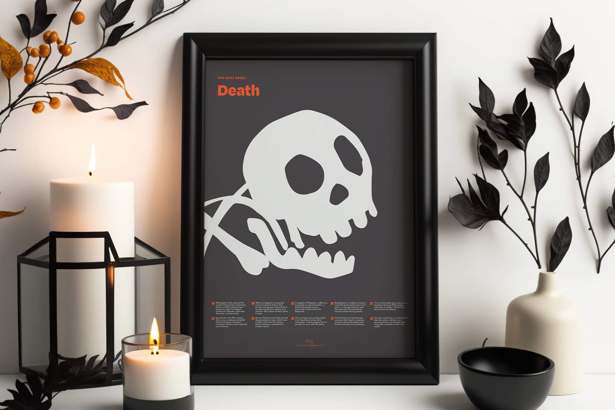 Fun Facts About Death Poster - Framed in Goth Room