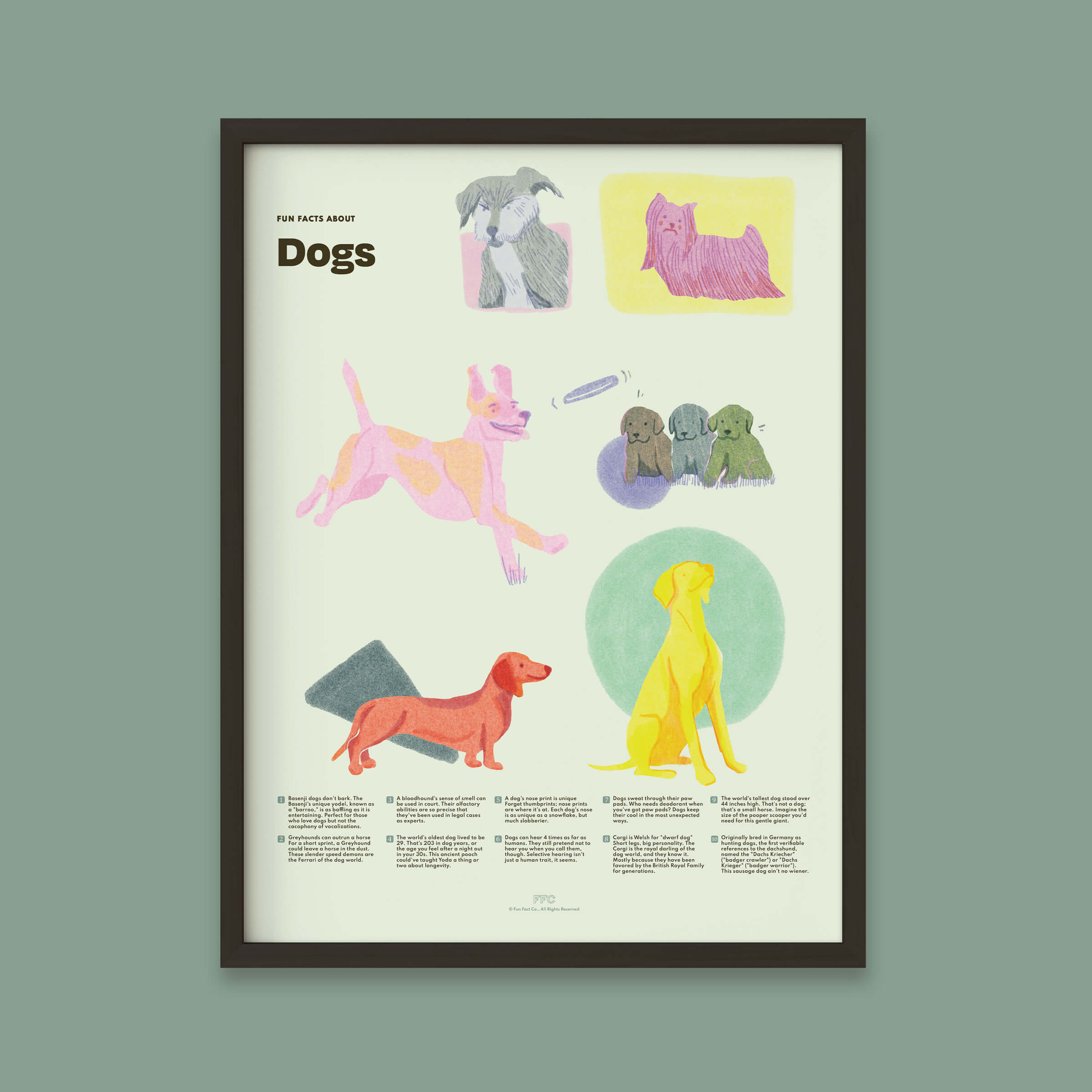 Dog Fun Facts Print, Educational Dog Poster by Fun Fact Co. - Black Frame