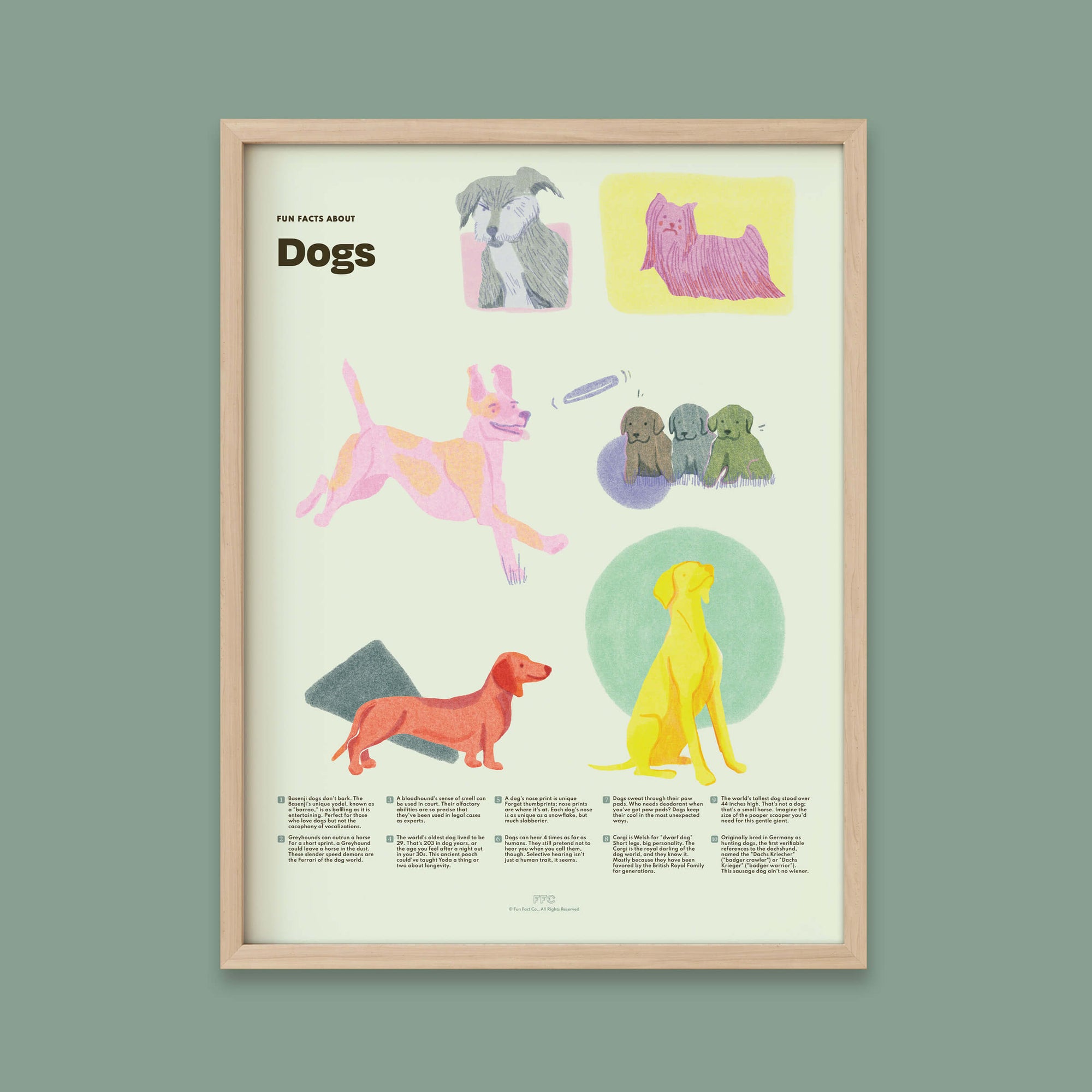 Dog Fun Facts Print, Educational Dog Poster by Fun Fact Co. - Natural Frame