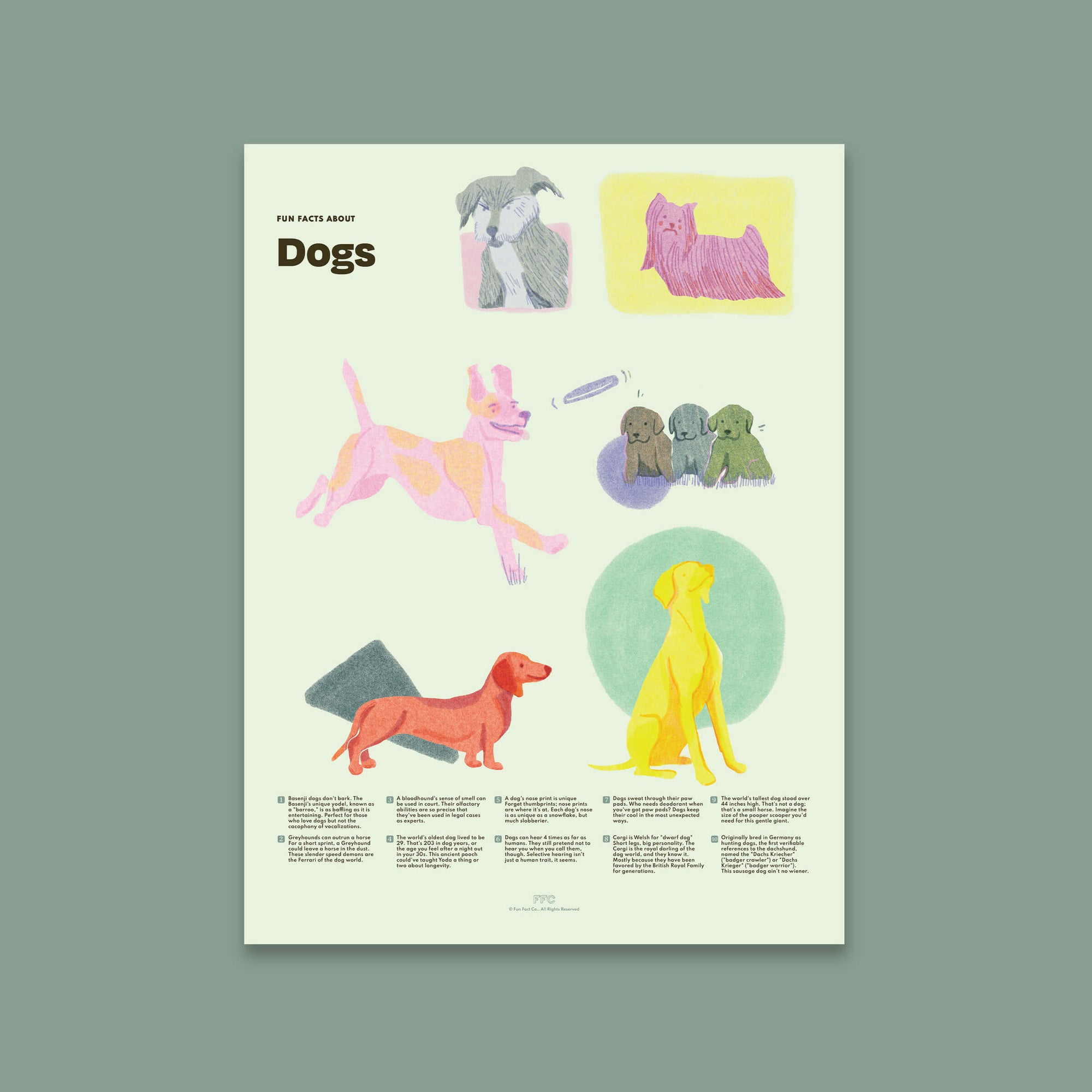 Dog Fun Facts Print, Educational Dog Poster by Fun Fact Co. - Unframed