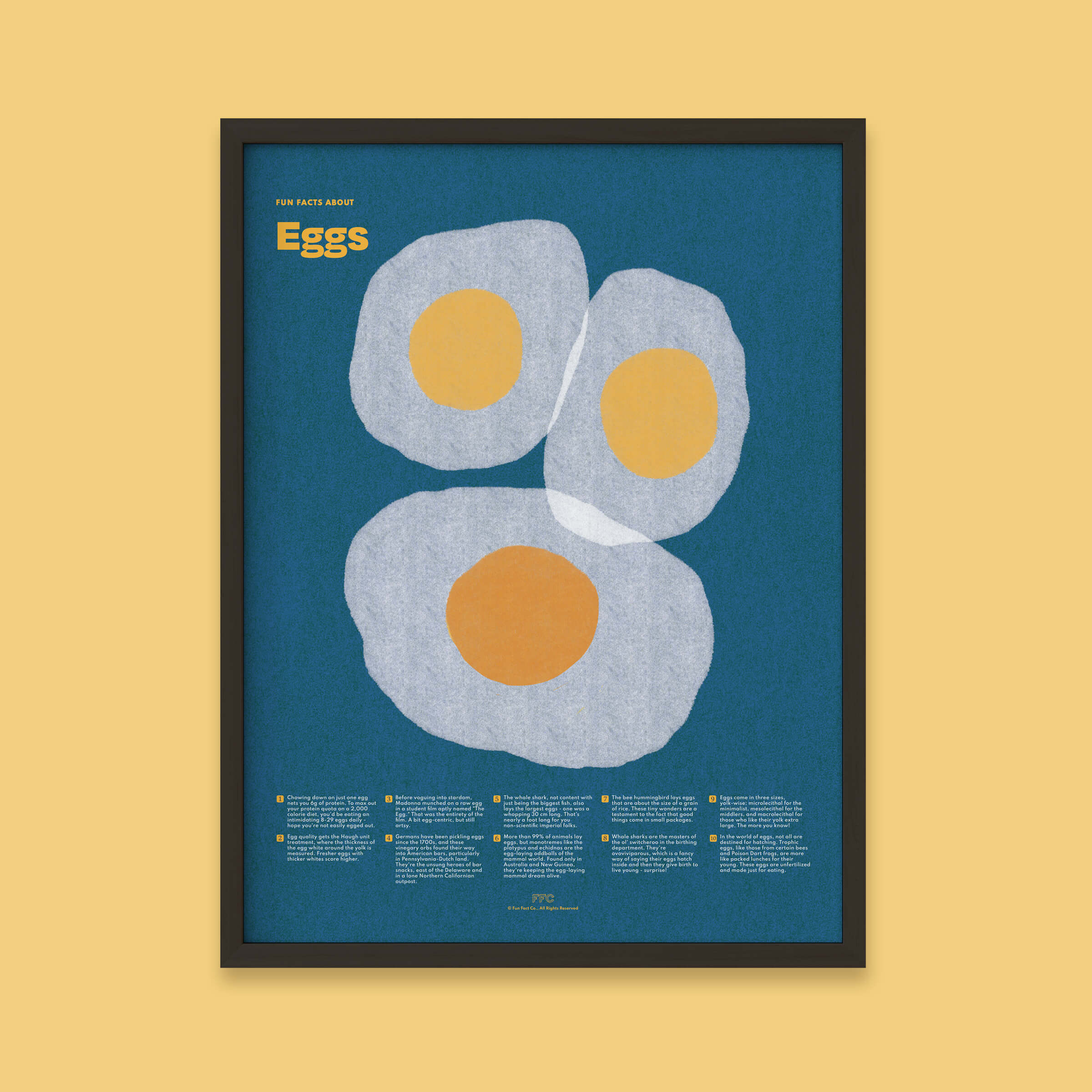 Egg Fun Facts Print Fun Fact Co