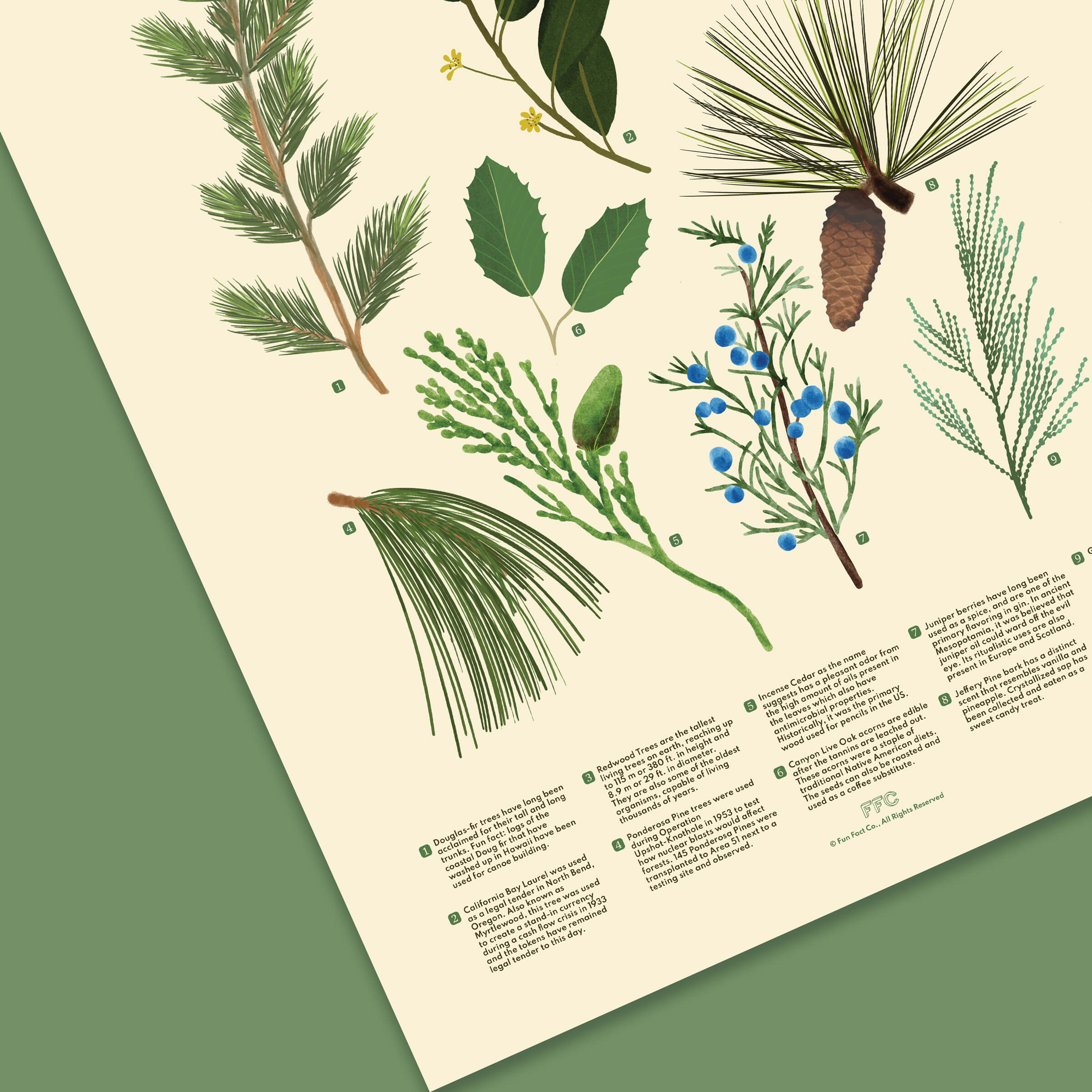 Illustration of various plants and leaves on a beige background with text.