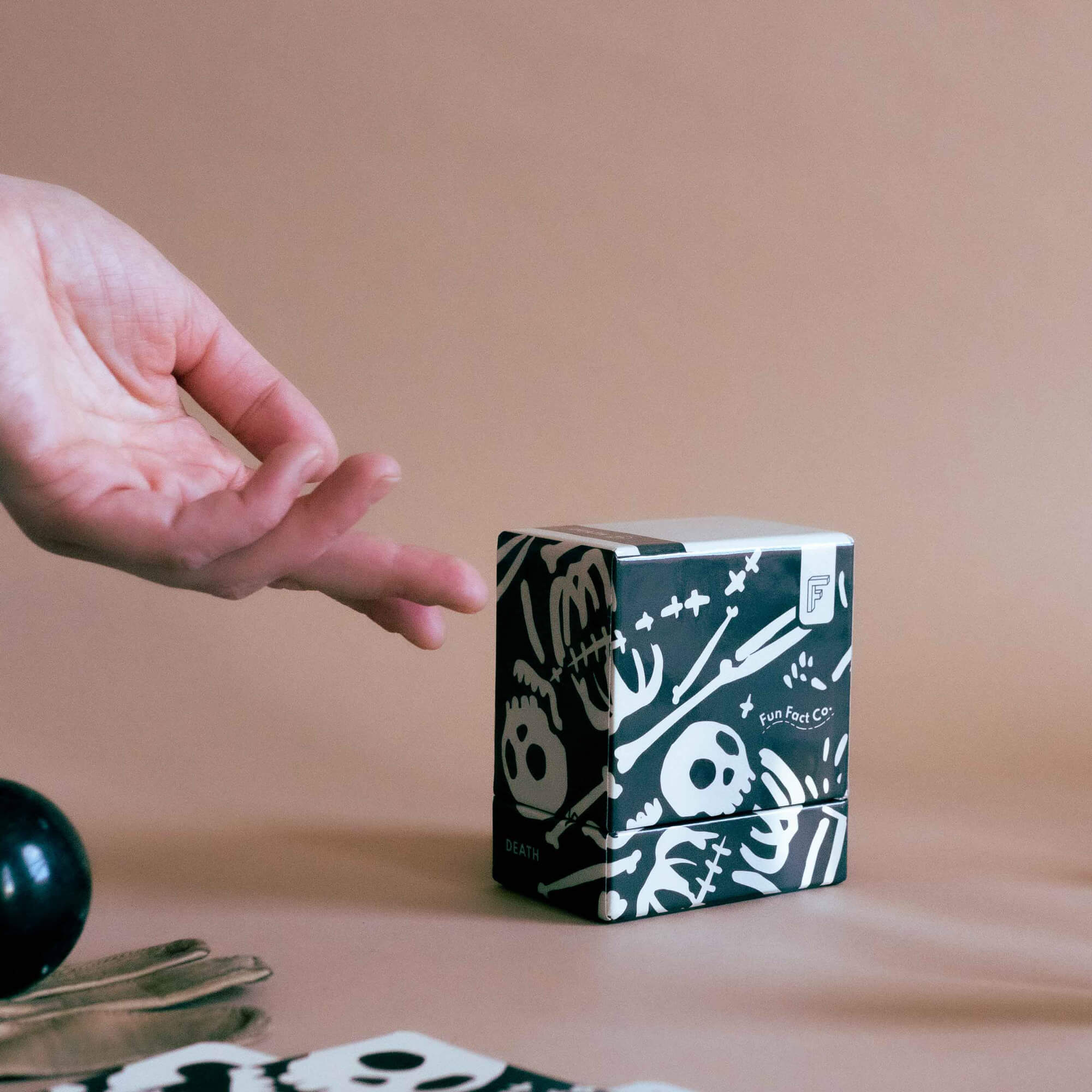 Fun Fact Co. Educational Trivia Card Decks