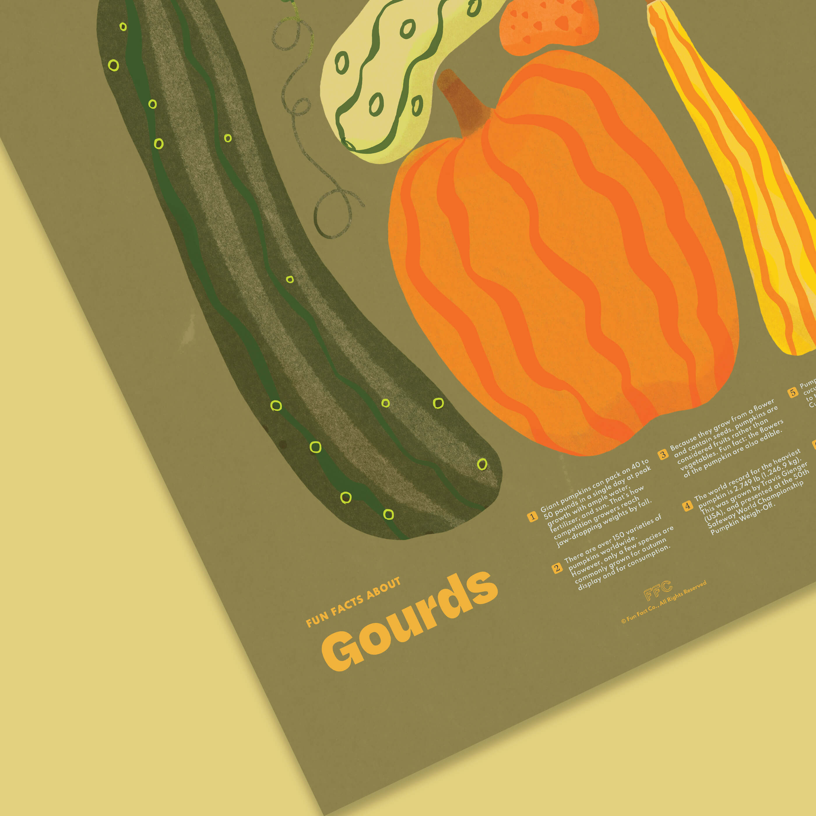 Educational poster about gourds with illustrations on a green background