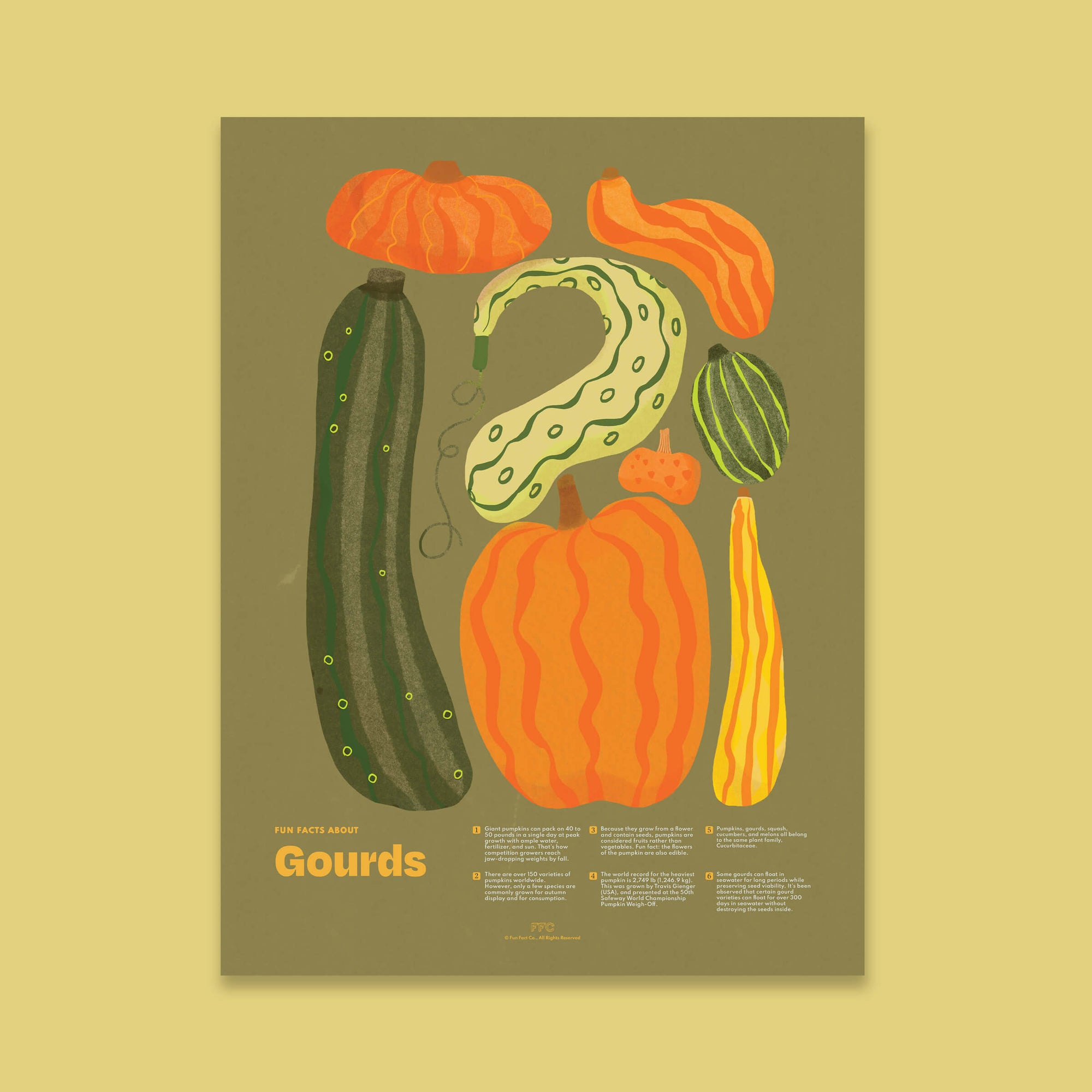 Illustration of various gourds on a beige background