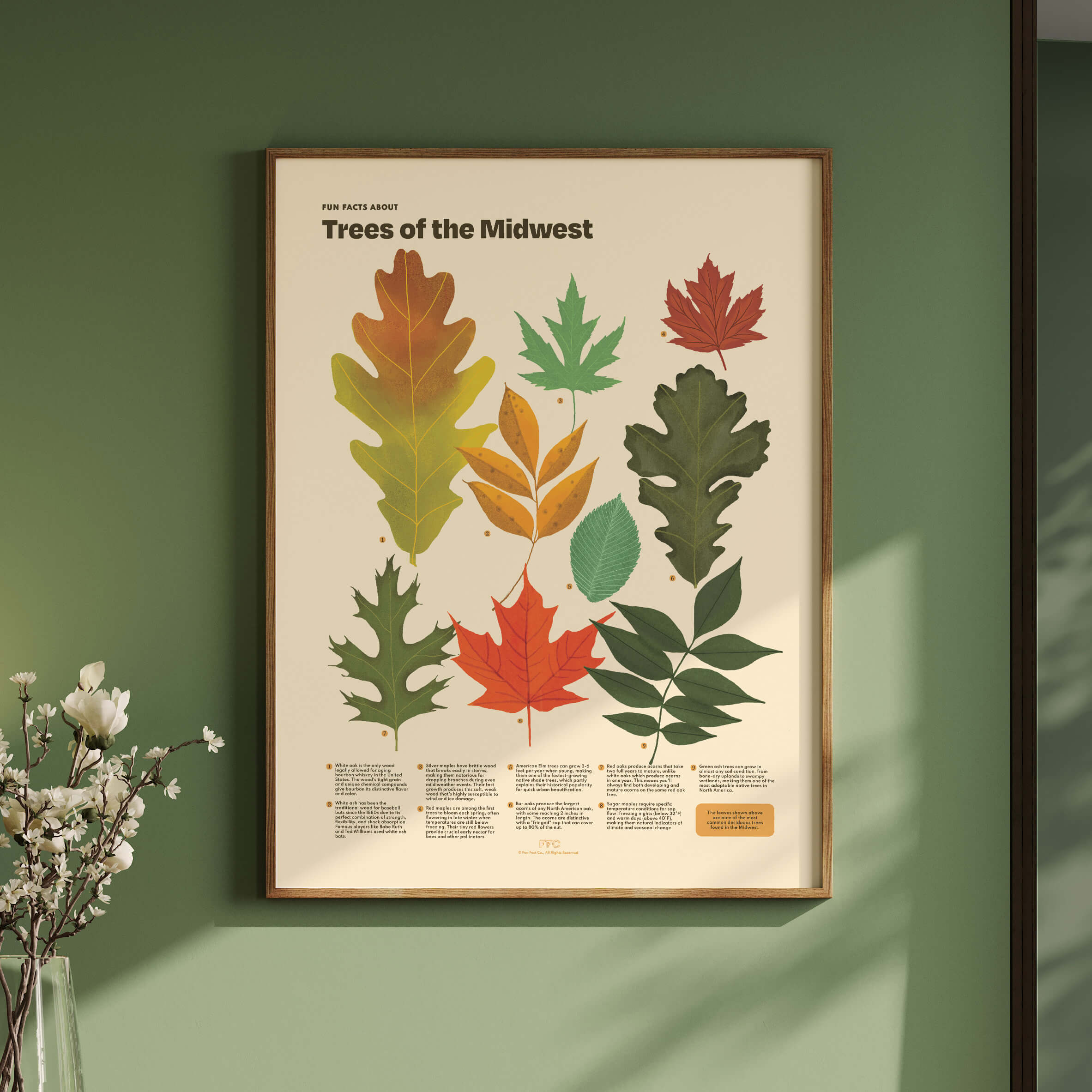 midwest tree leaves poster in a green room