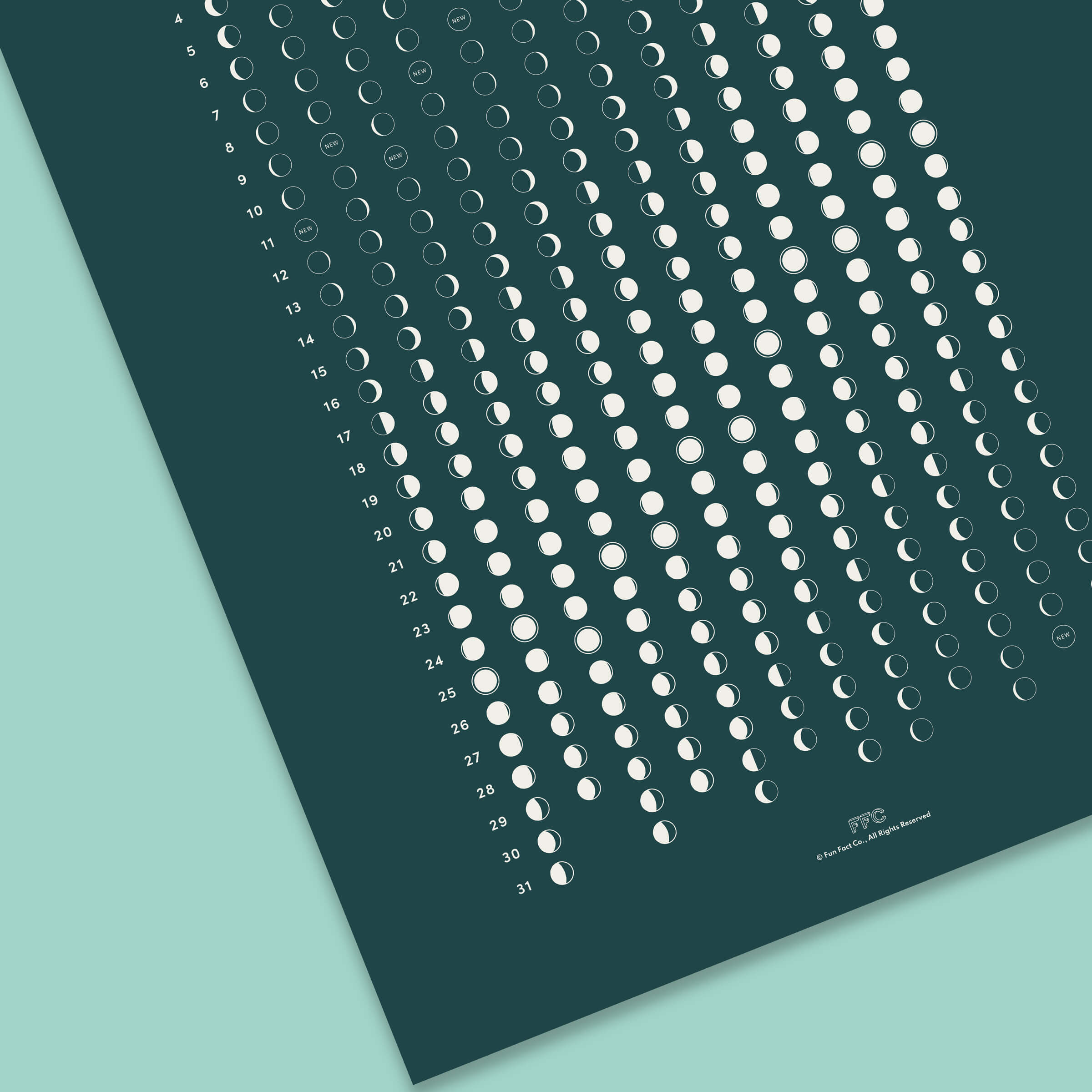 Moon Phases Astronomy Wall Calendar Print - Fun Fact Co. - Close Up