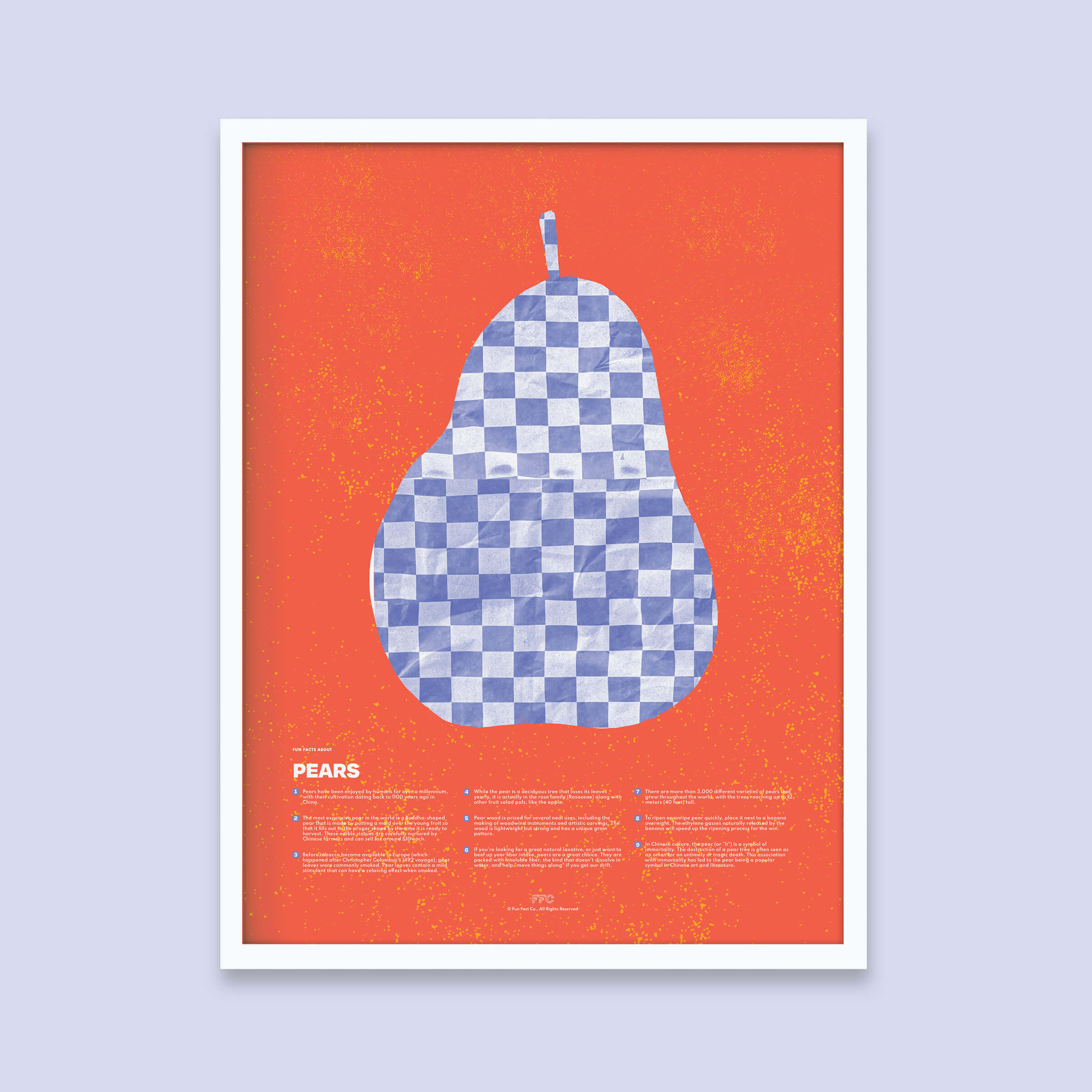 Pear Fun Facts Print - White Frame - Educational Art by Fun Fact Co.
