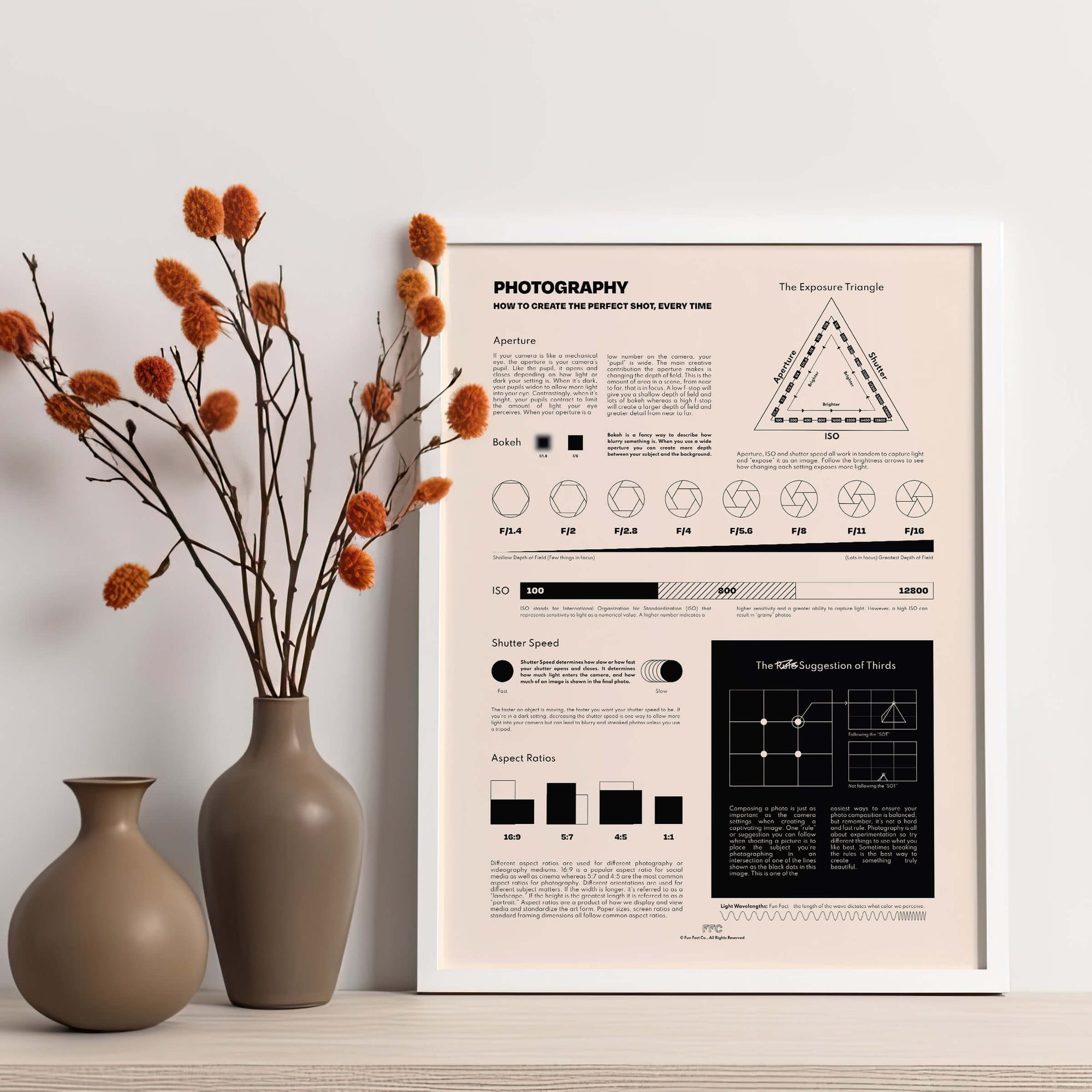 Photography Fun Facts Infographic Chart Print - framed lifestyle