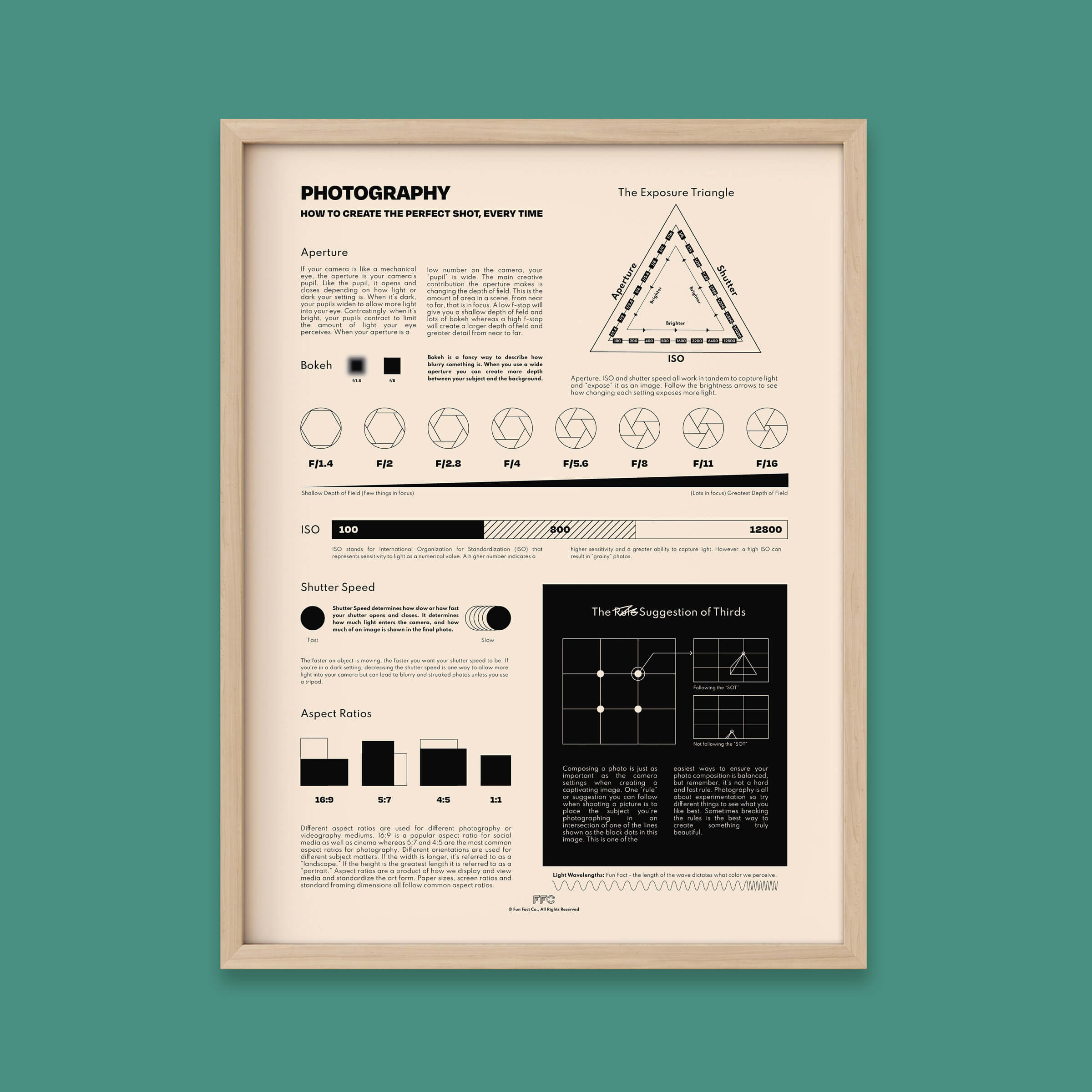Photography Fun Facts Infographic Chart Print - Natural frame