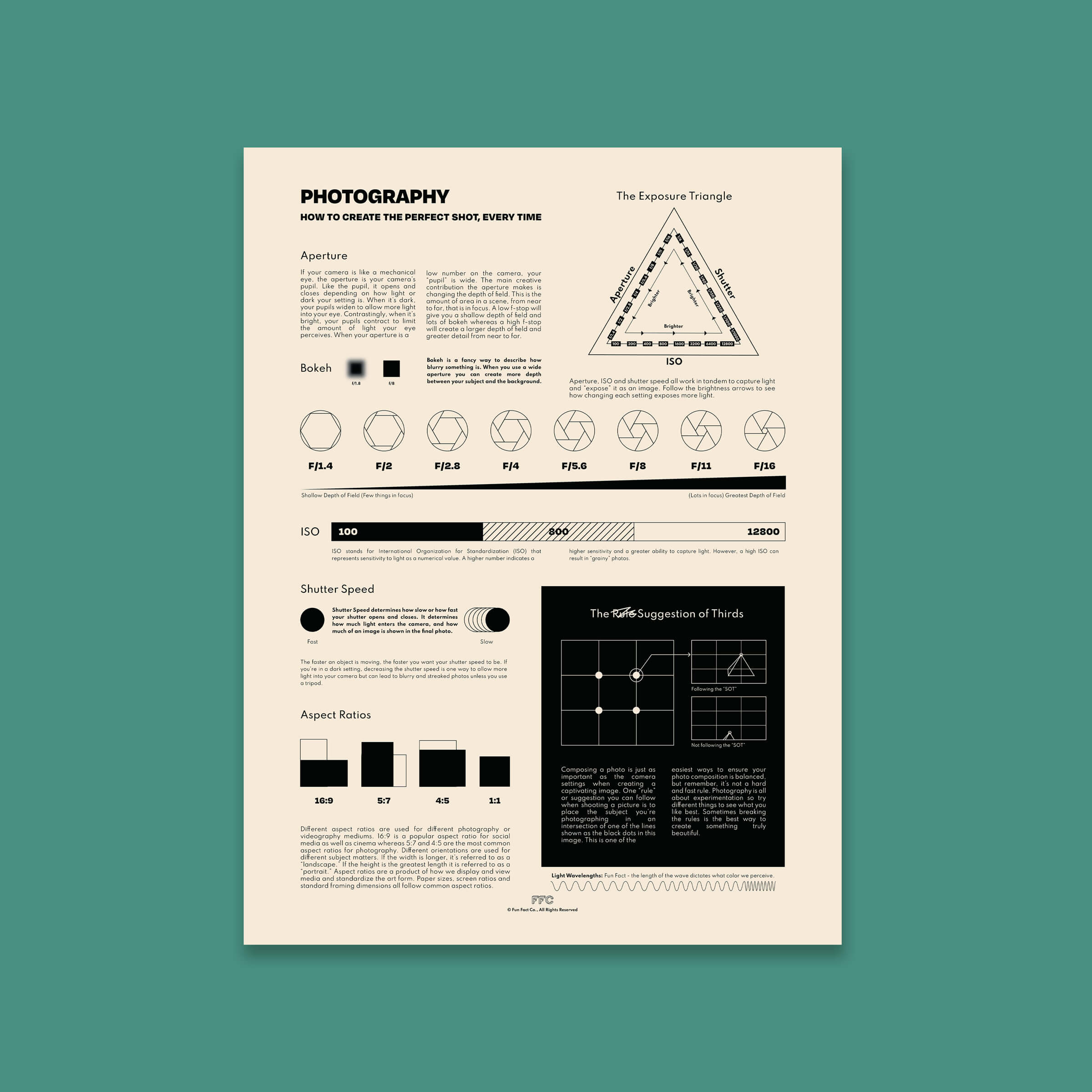Photography Fun Facts Infographic Chart Print - Unframed