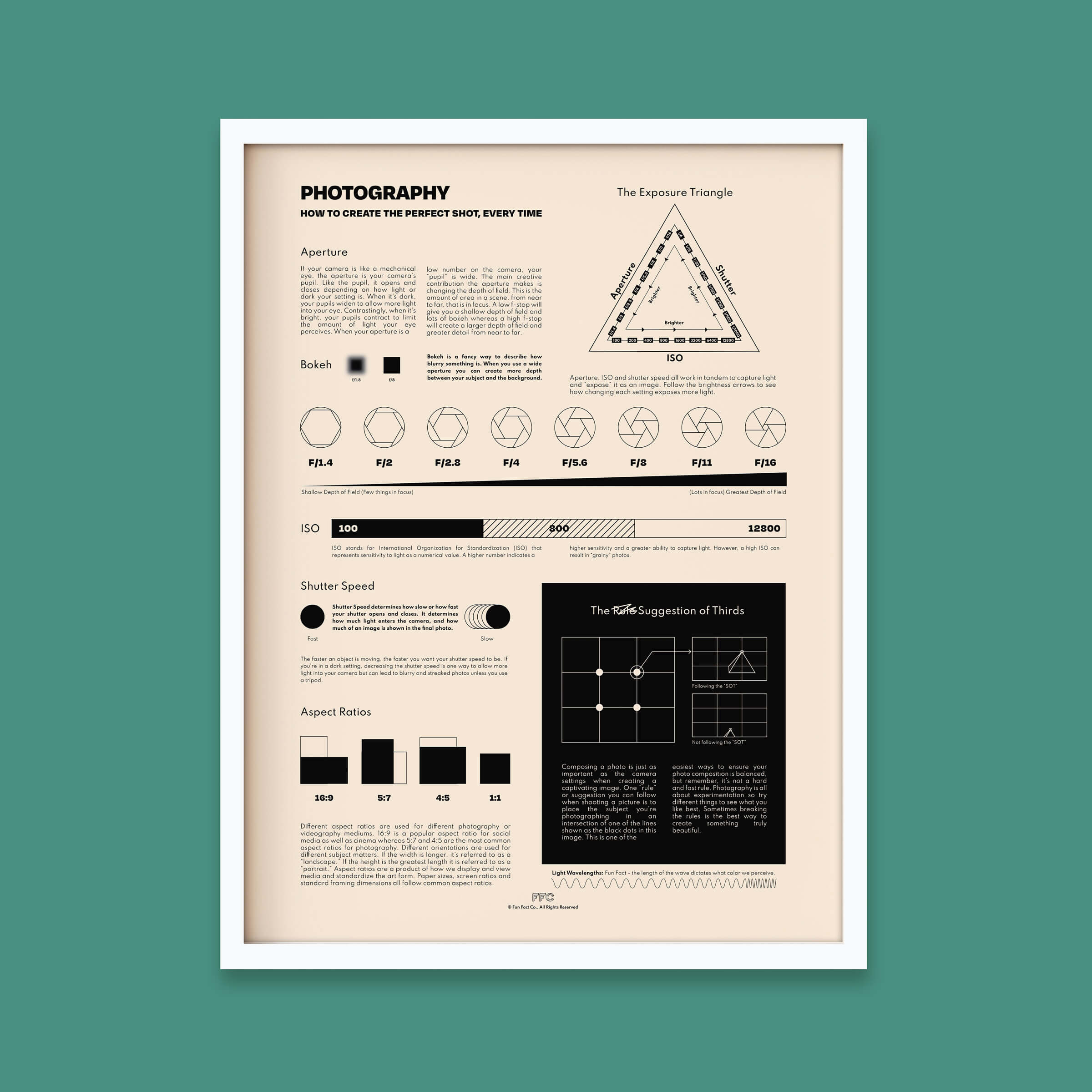 Photography Fun Facts Infographic Chart Print - white frame
