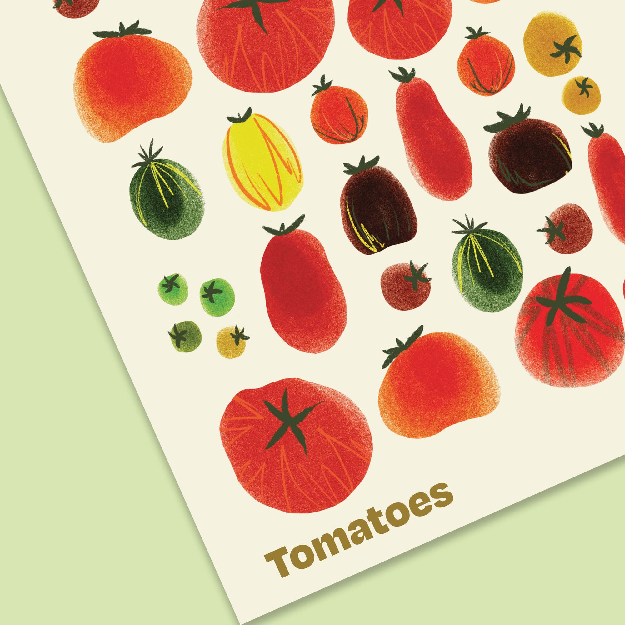 Artistic Illustration of Tomatoes - Unframed Poster - Close Up View